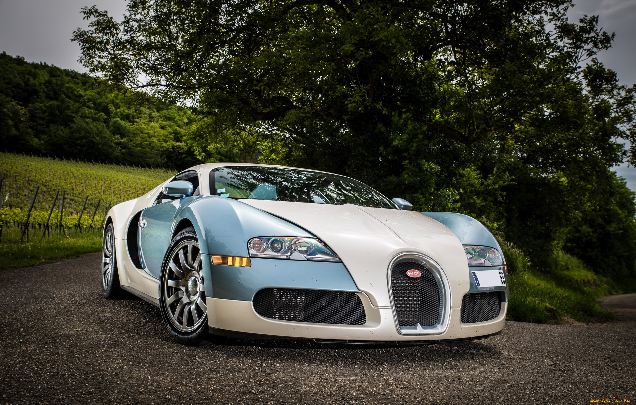 bugatti, veyron, автомобили, bugatti, спорткар