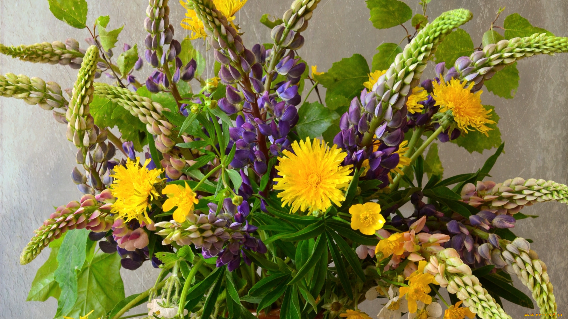 цветы, букеты, , композиции, букет, лето, полевые, люпин