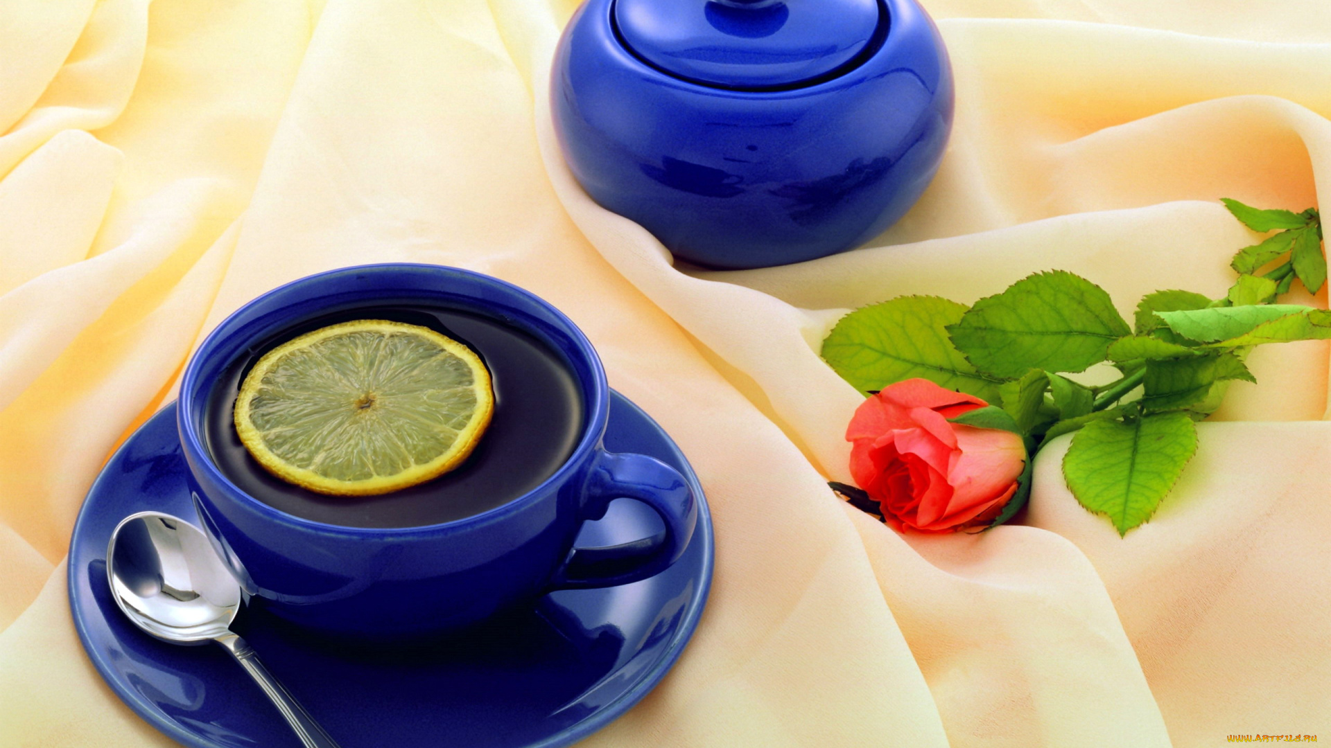 еда, напитки, , Чай, чай, сахарница, чашка, роза, лимон