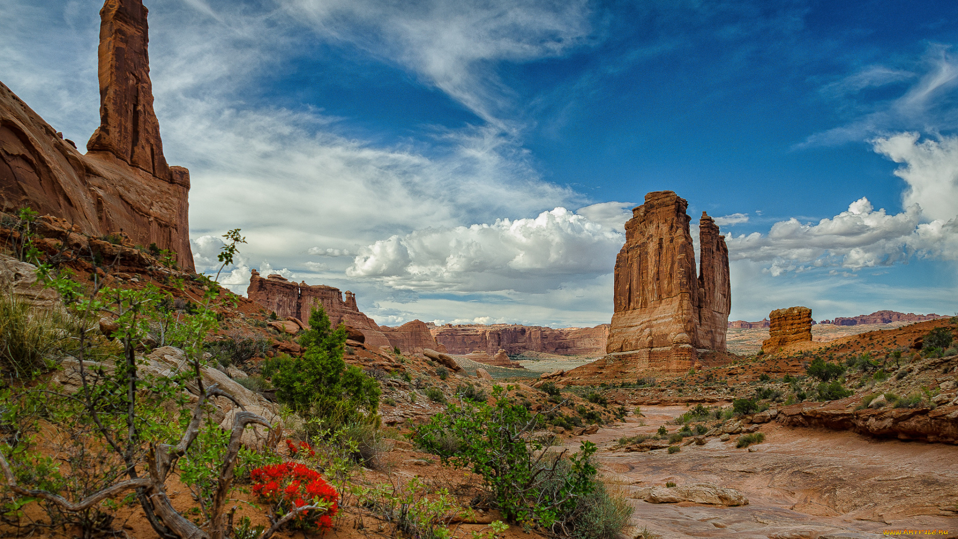 природа, горы, скалы, растительность