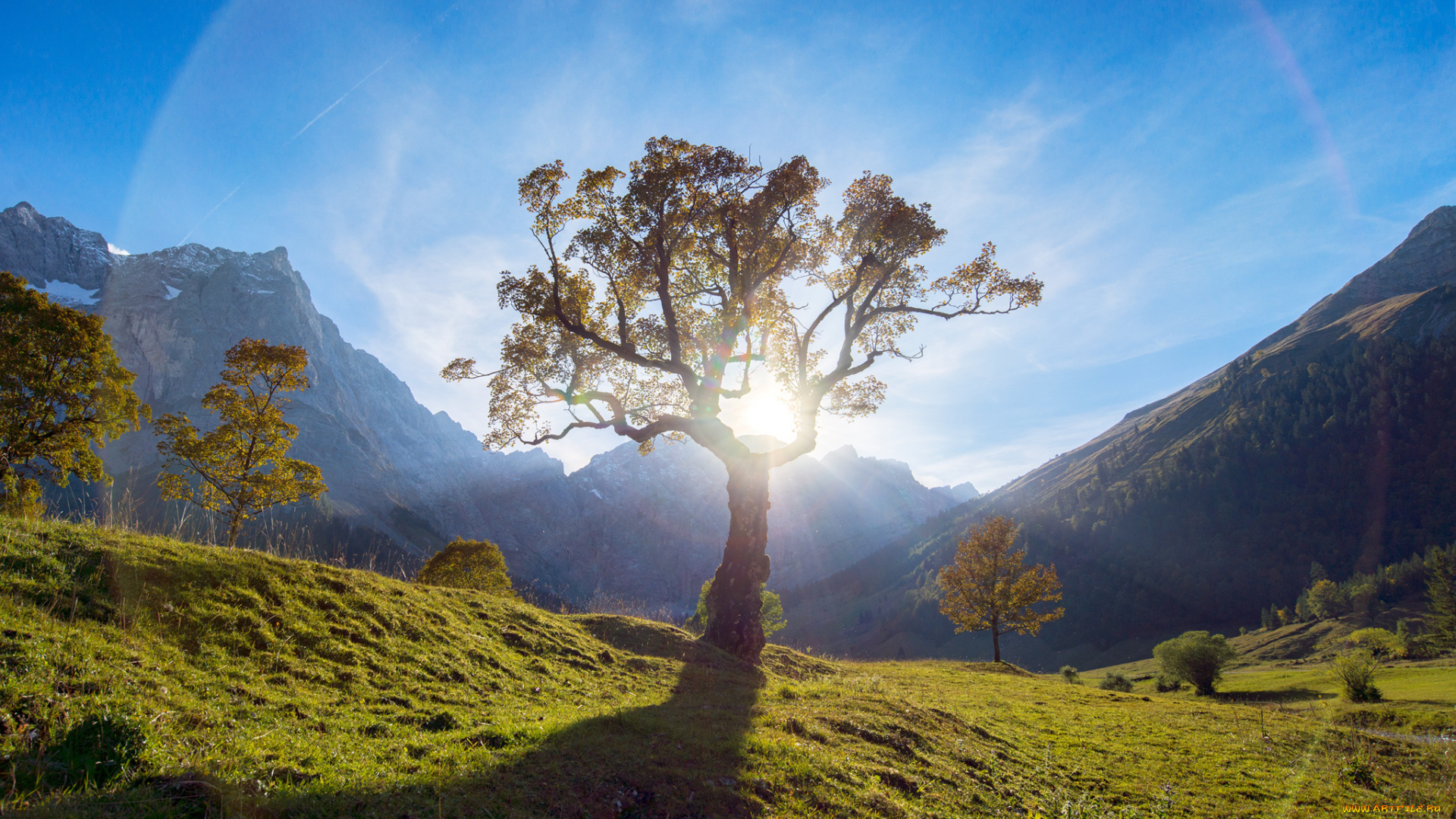 природа, восходы, закаты, дерево, солнце, свет, горы