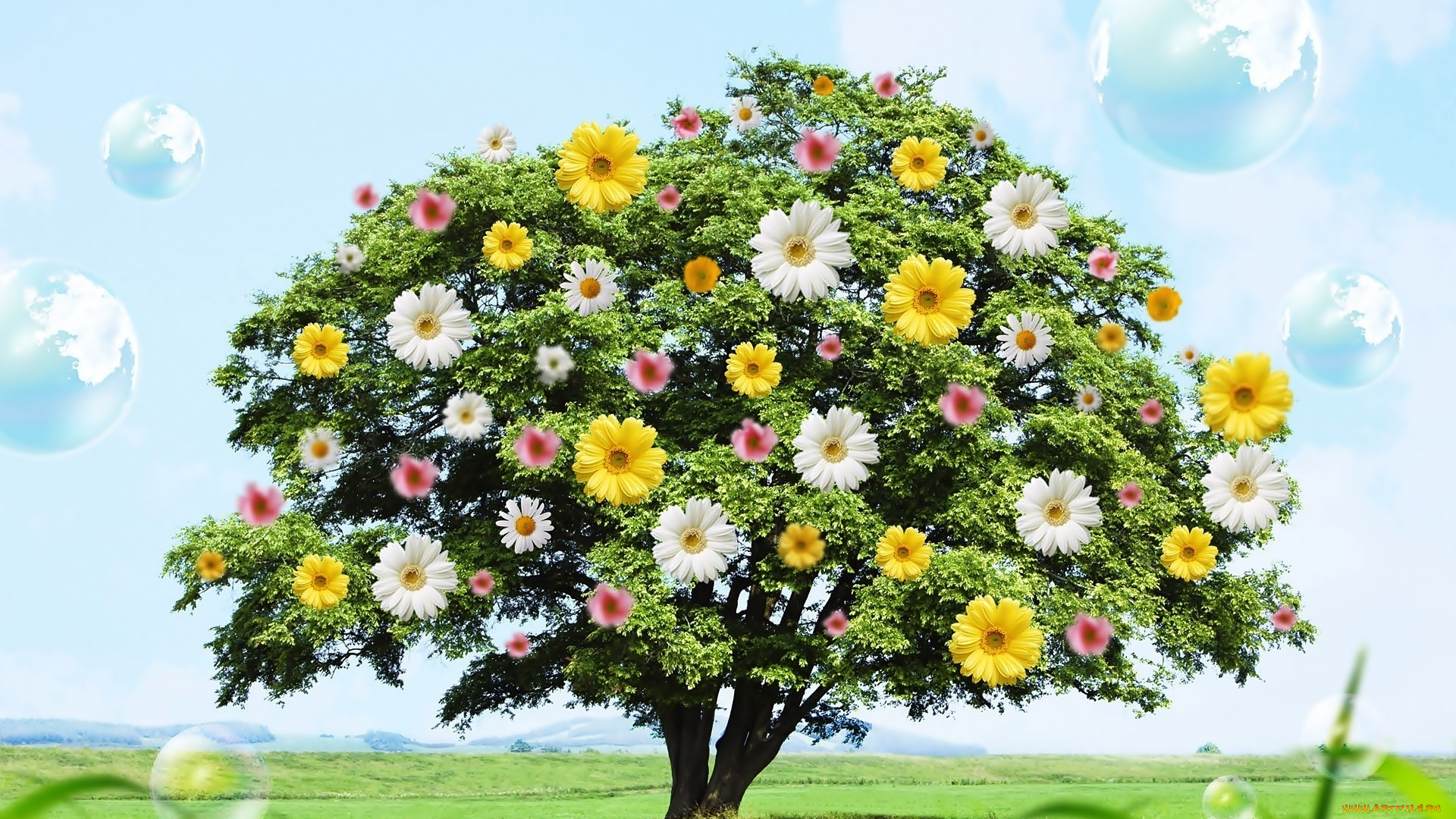 разное, компьютерный, дизайн, дерево, цветы, планеты