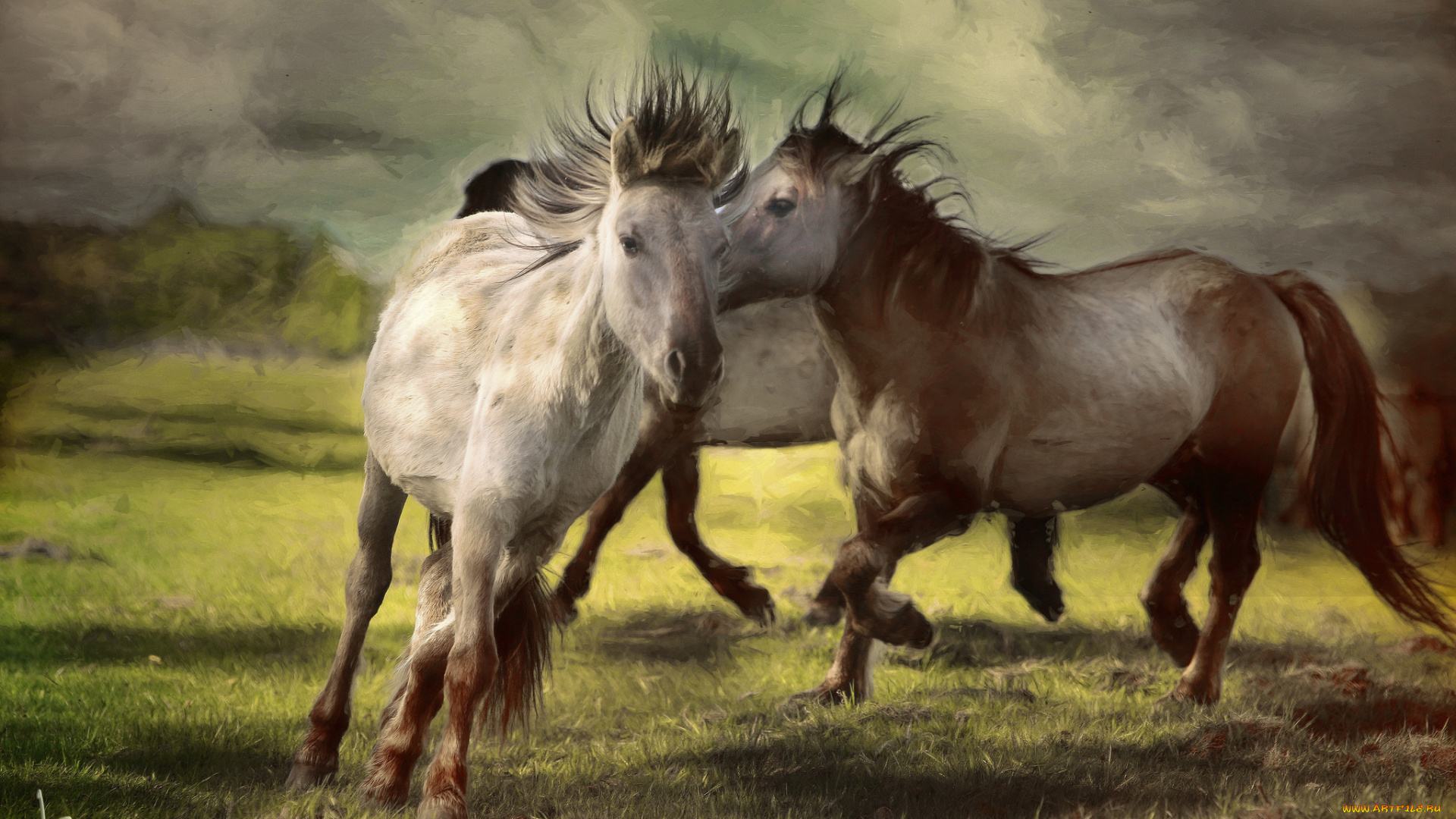 разное, компьютерный, дизайн, лошади, кони, пара, арт