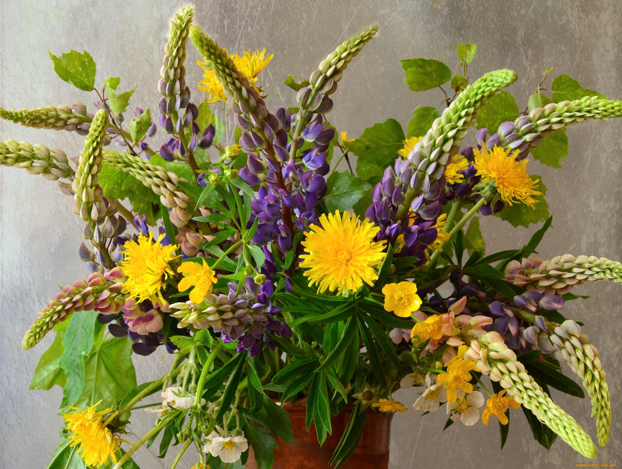 цветы, букеты, , композиции, букет, лето, полевые, люпин