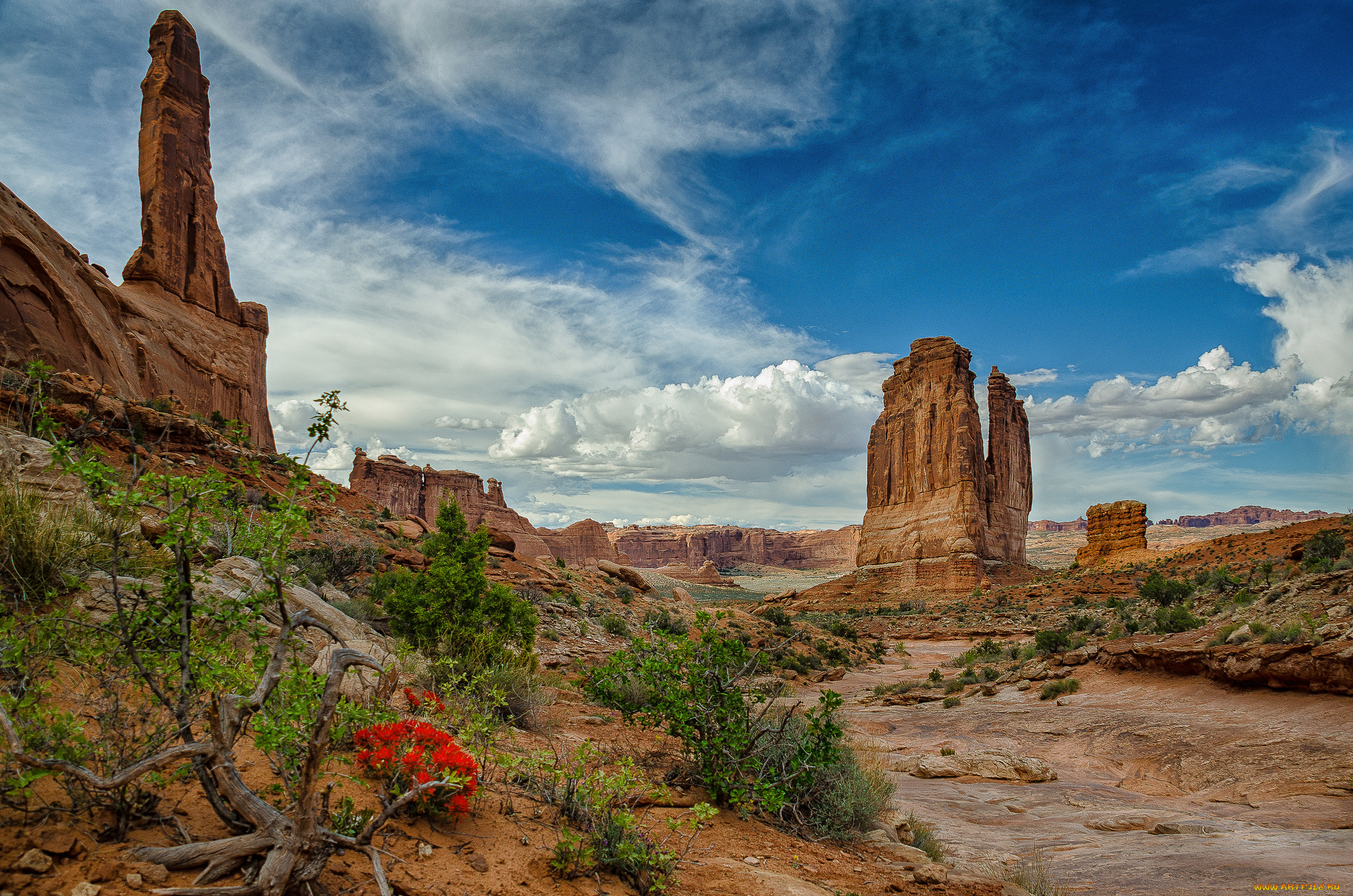 природа, горы, скалы, растительность