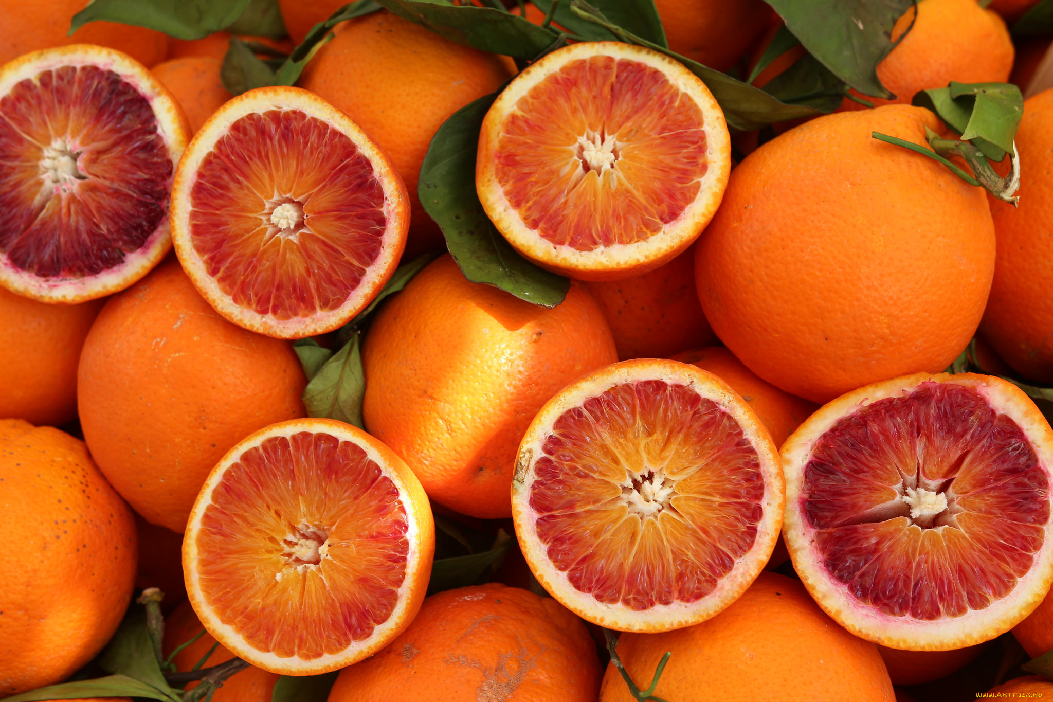 еда, цитрусы, апельсины
