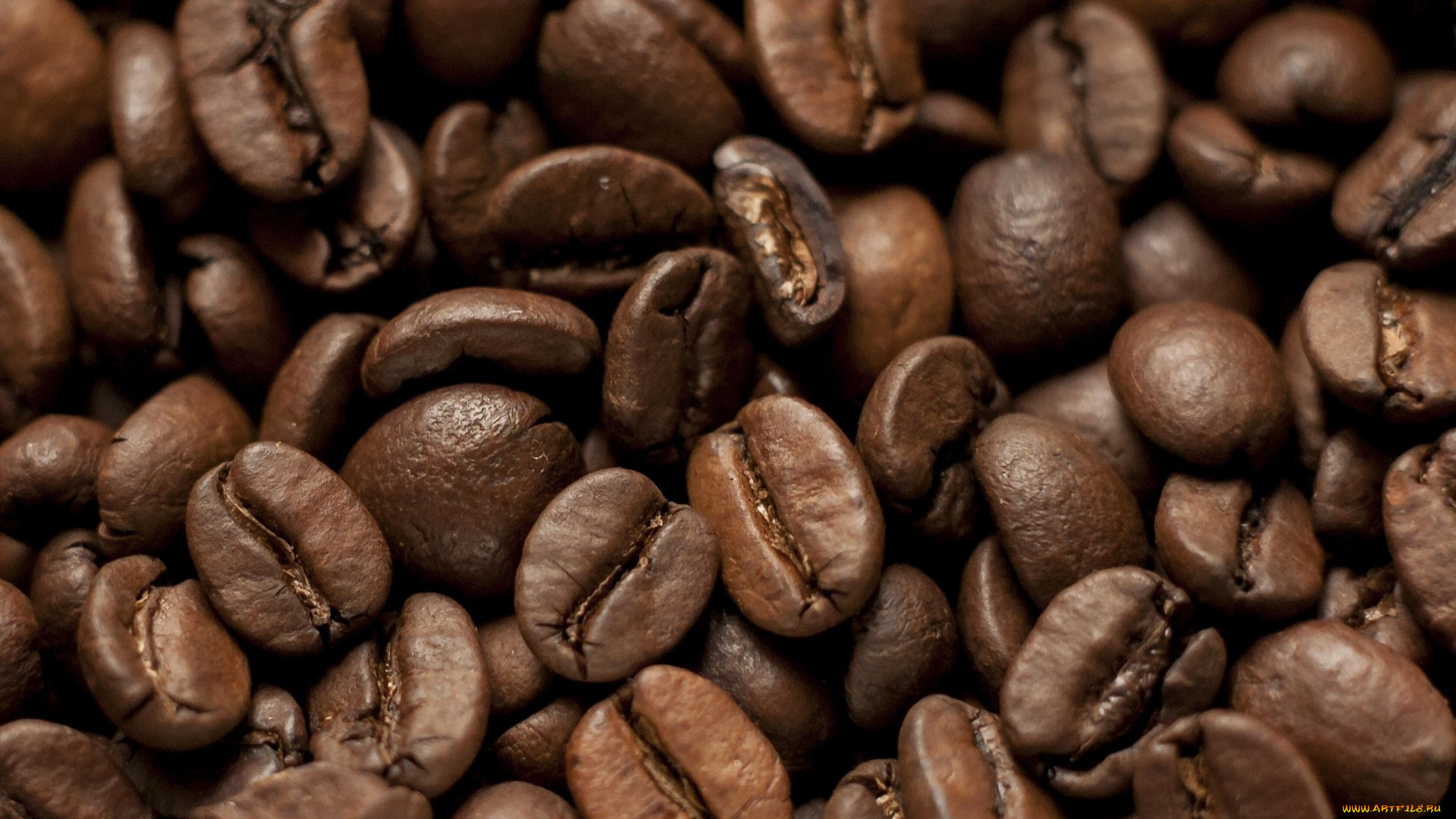 еда, кофе, , кофейные, зёрна, кофейные, зерна