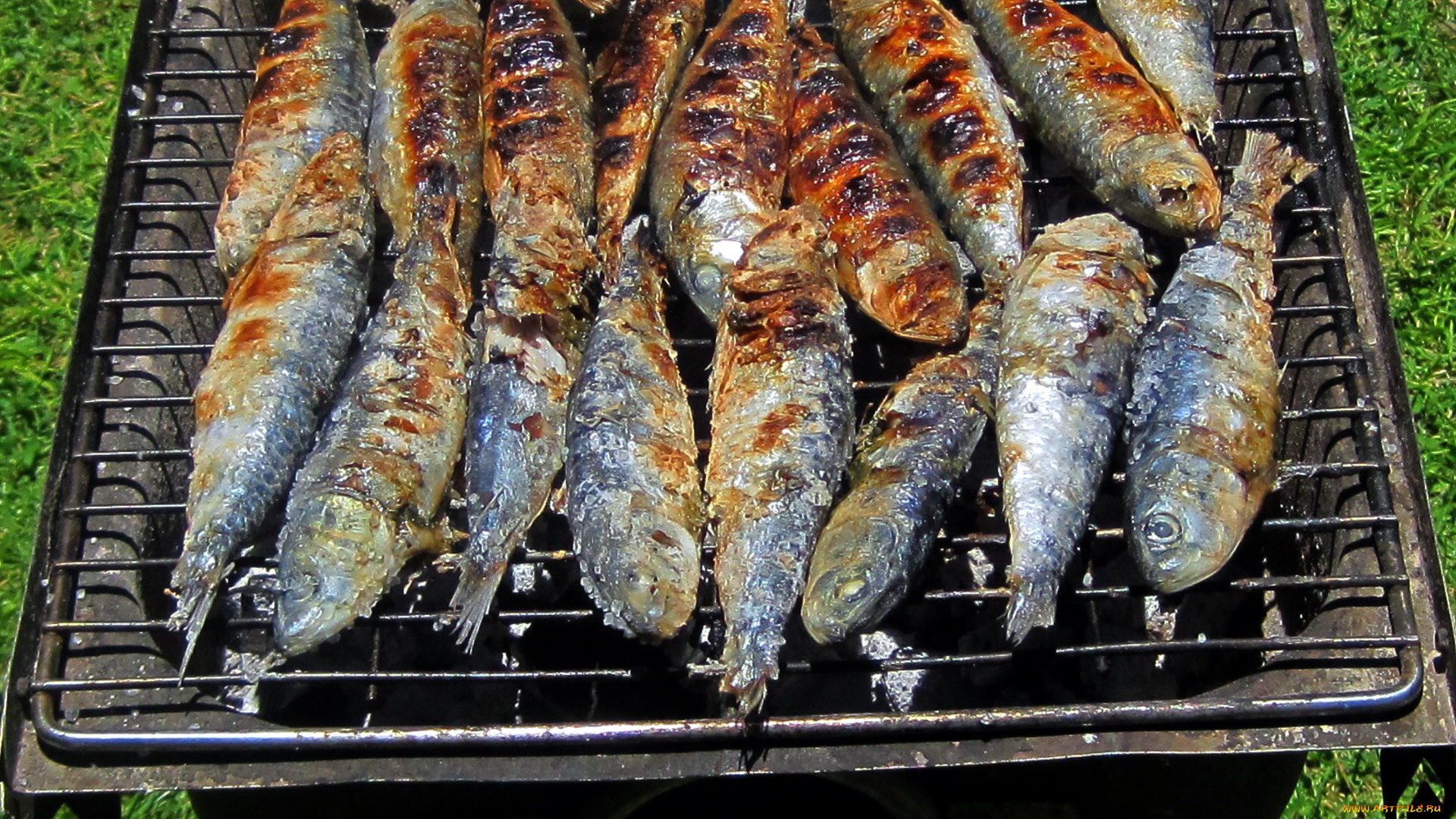 еда, рыбные, блюда, , с, морепродуктами, жареная, рыба, гриль