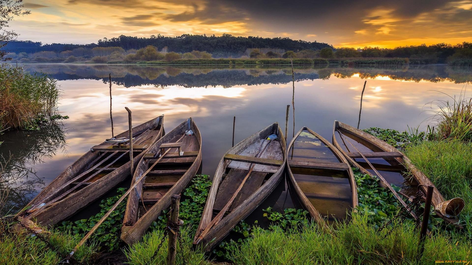 корабли, лодки, , шлюпки, ферментелуш, pateira, озеро, португалия