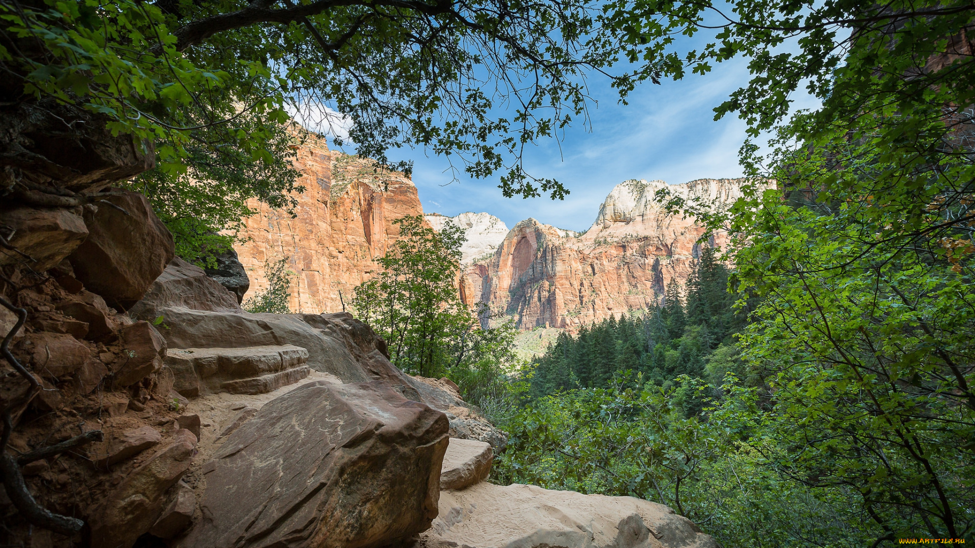 природа, горы, простор