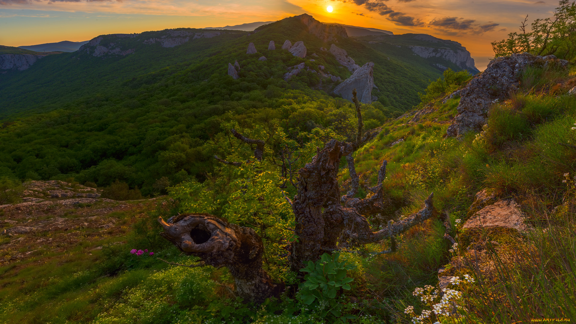 природа, горы, простор