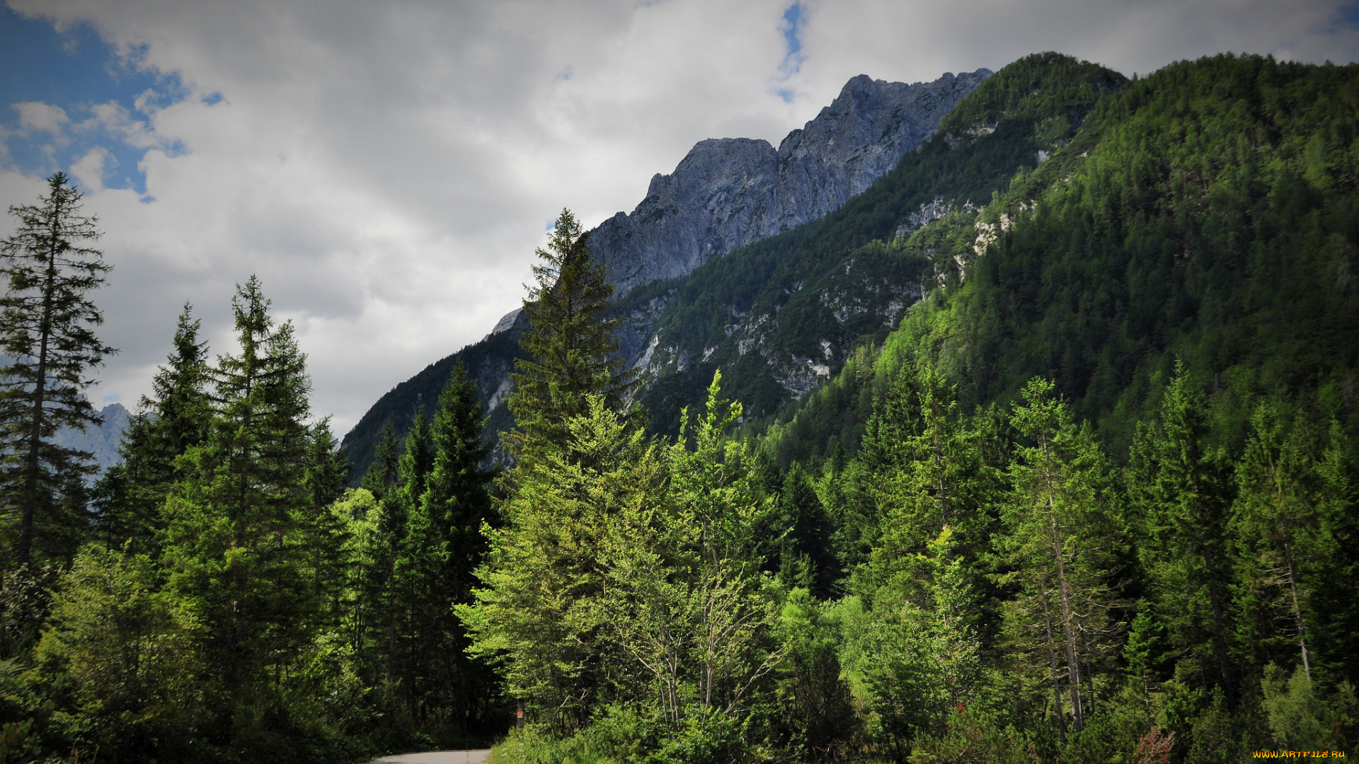 природа, горы, простор