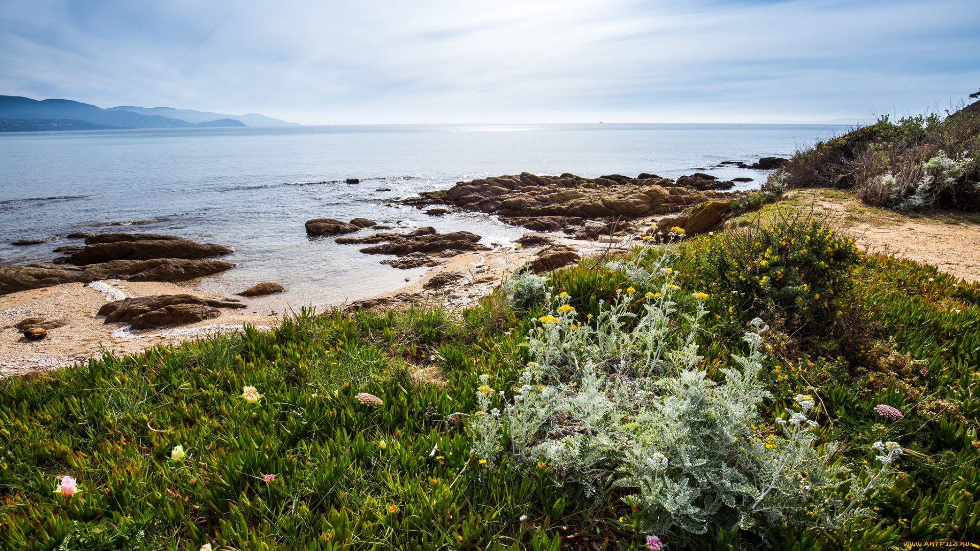 природа, побережье, берег, море