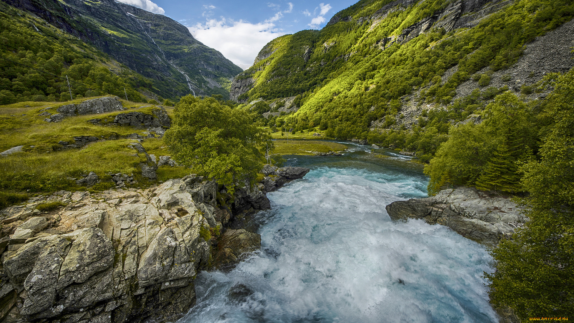 природа, реки, озера, лес, река