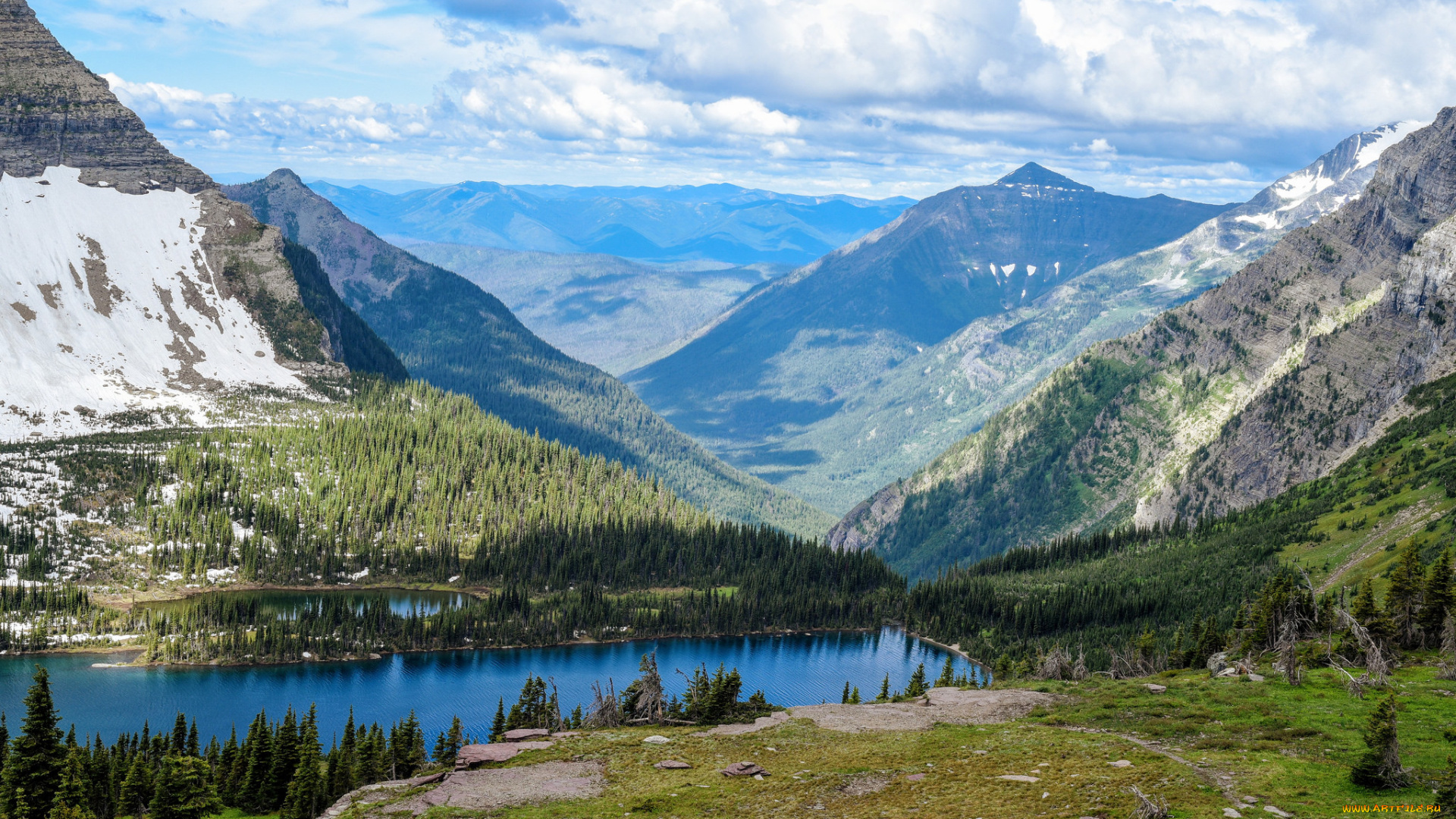 природа, реки, озера, река, лес