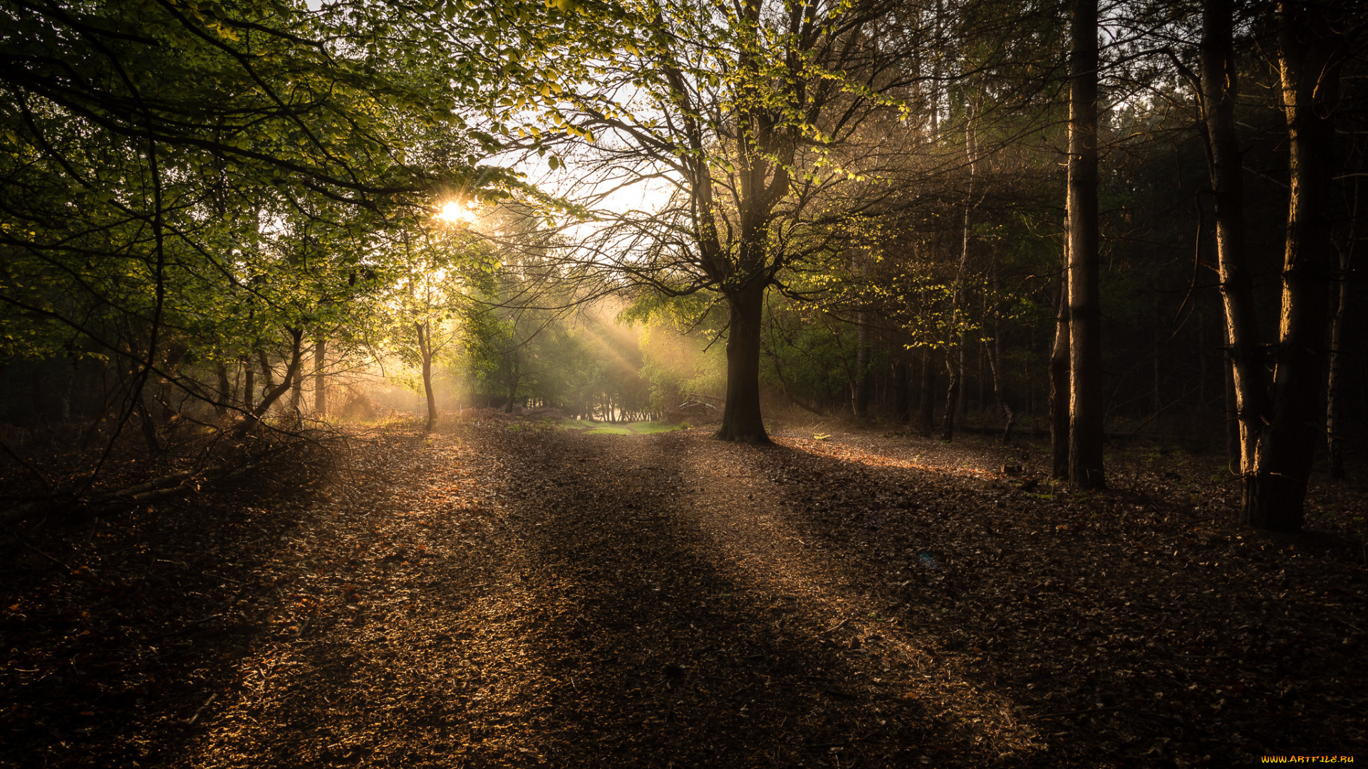 природа, восходы, закаты, рассвет