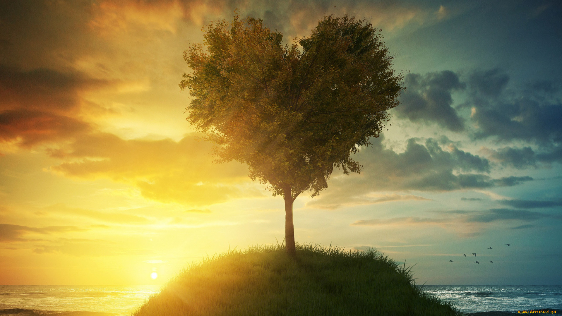 разное, компьютерный, дизайн, небо, трава, любовь, дерево, сердце, love, landscape, heart, beautiful, tree, romantic