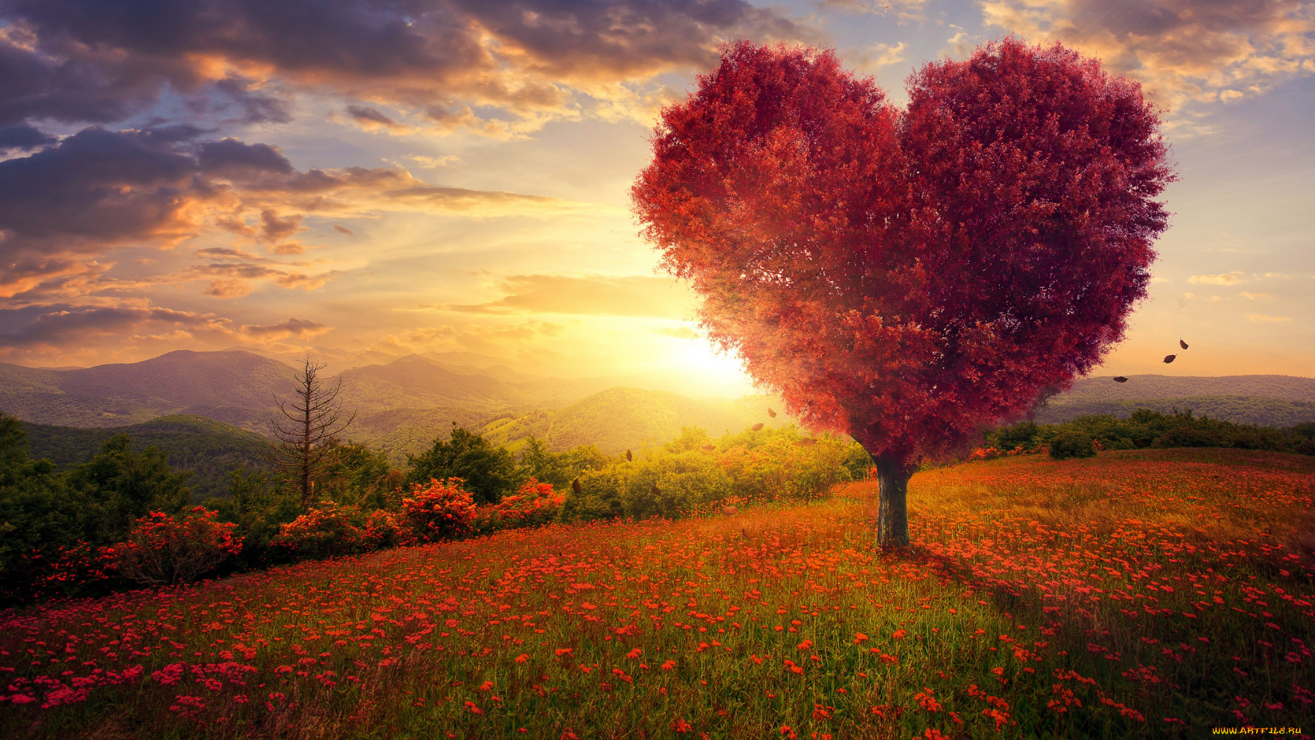 разное, компьютерный, дизайн, поле, небо, трава, любовь, цветы, дерево, сердце, love, field, landscape, heart, pink, blossom, flowers, beautiful, tree, romantic