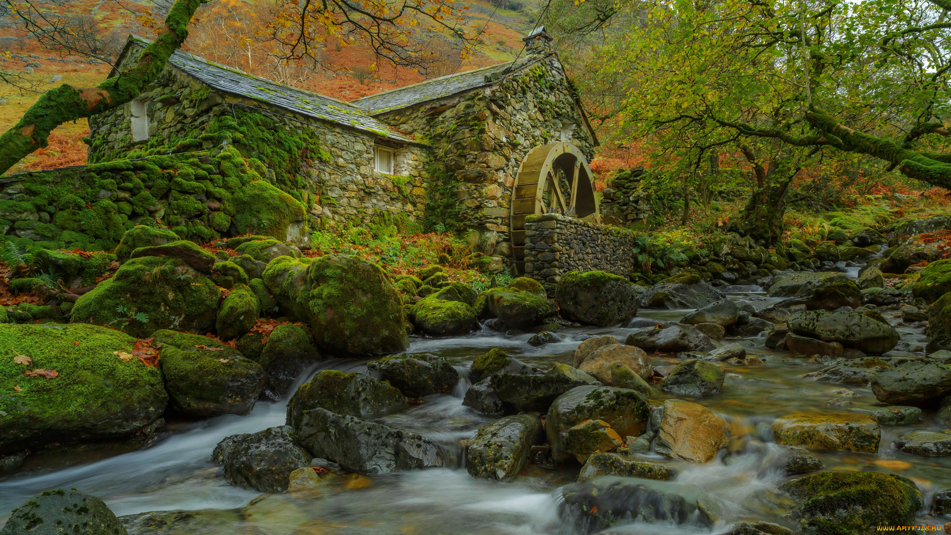 разное, мельницы, листья, осень, водяная, мельница, деревья, ручей, камни, мох