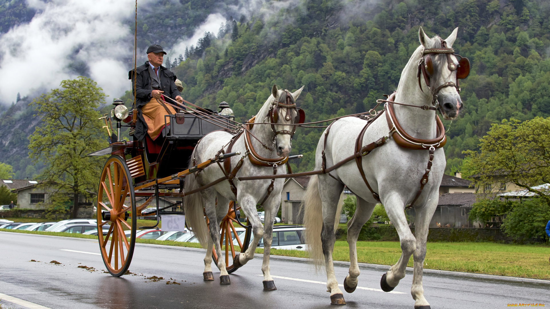 разное, транспортные, средства, и, магистрали, двуколка