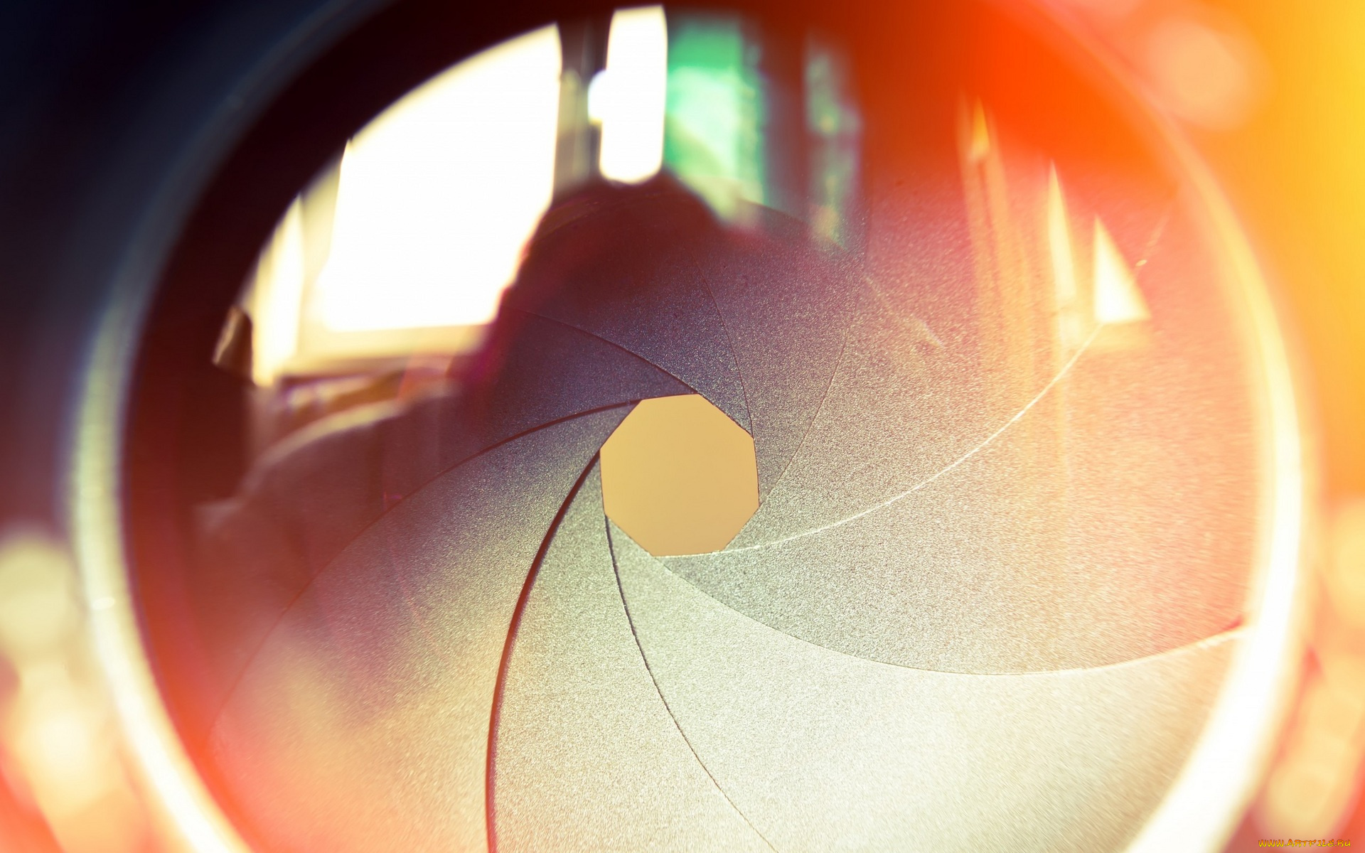 разное, -, другое, объектив, камера, фотоаппарат, макро