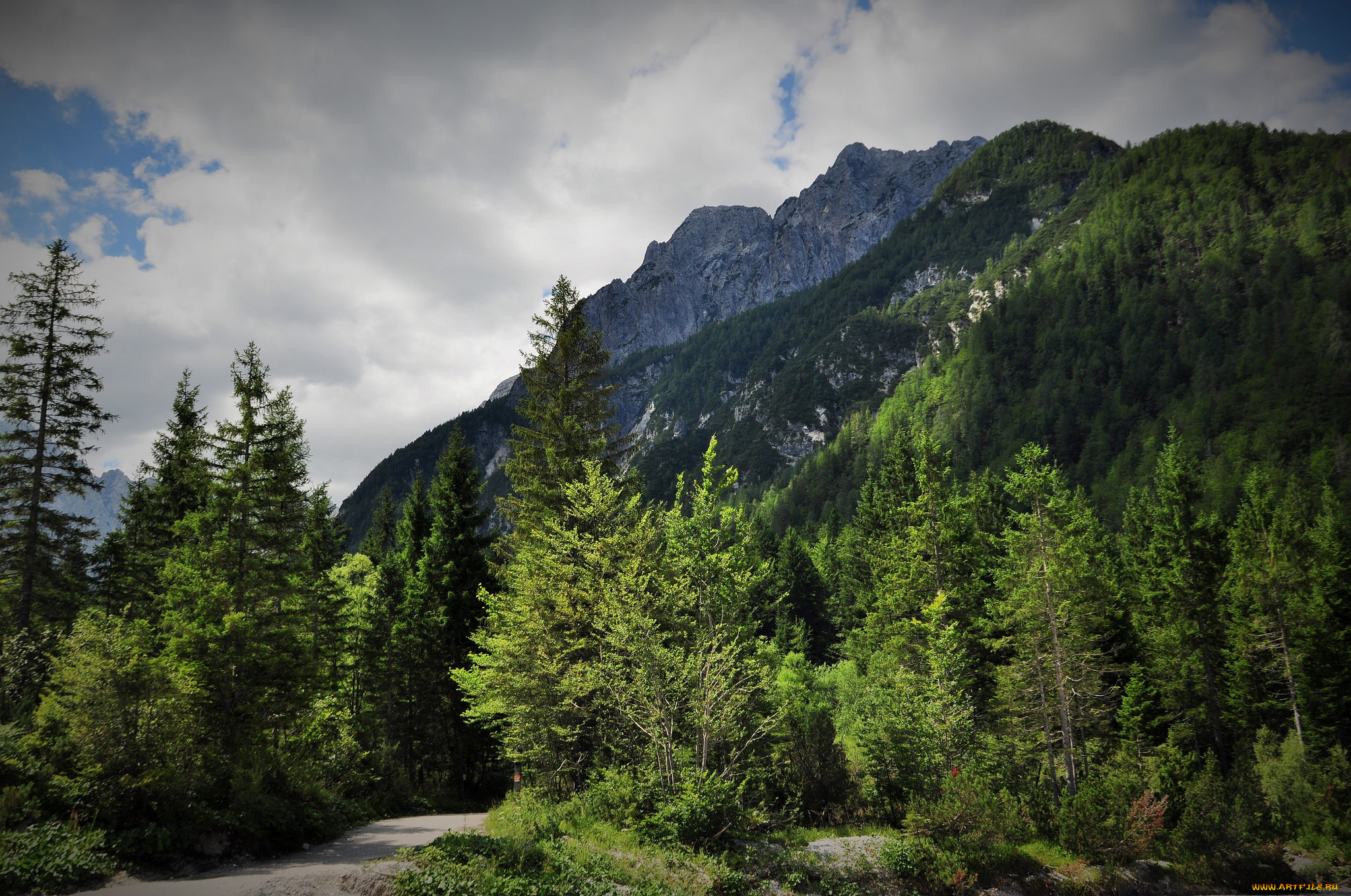 природа, горы, простор