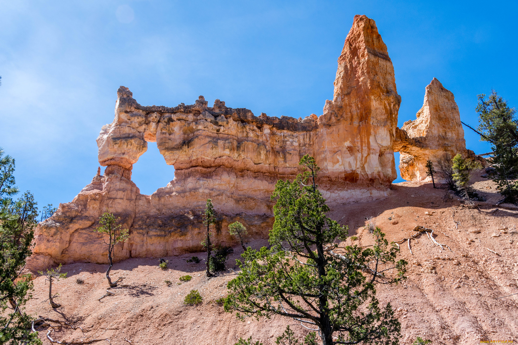 природа, горы, простор