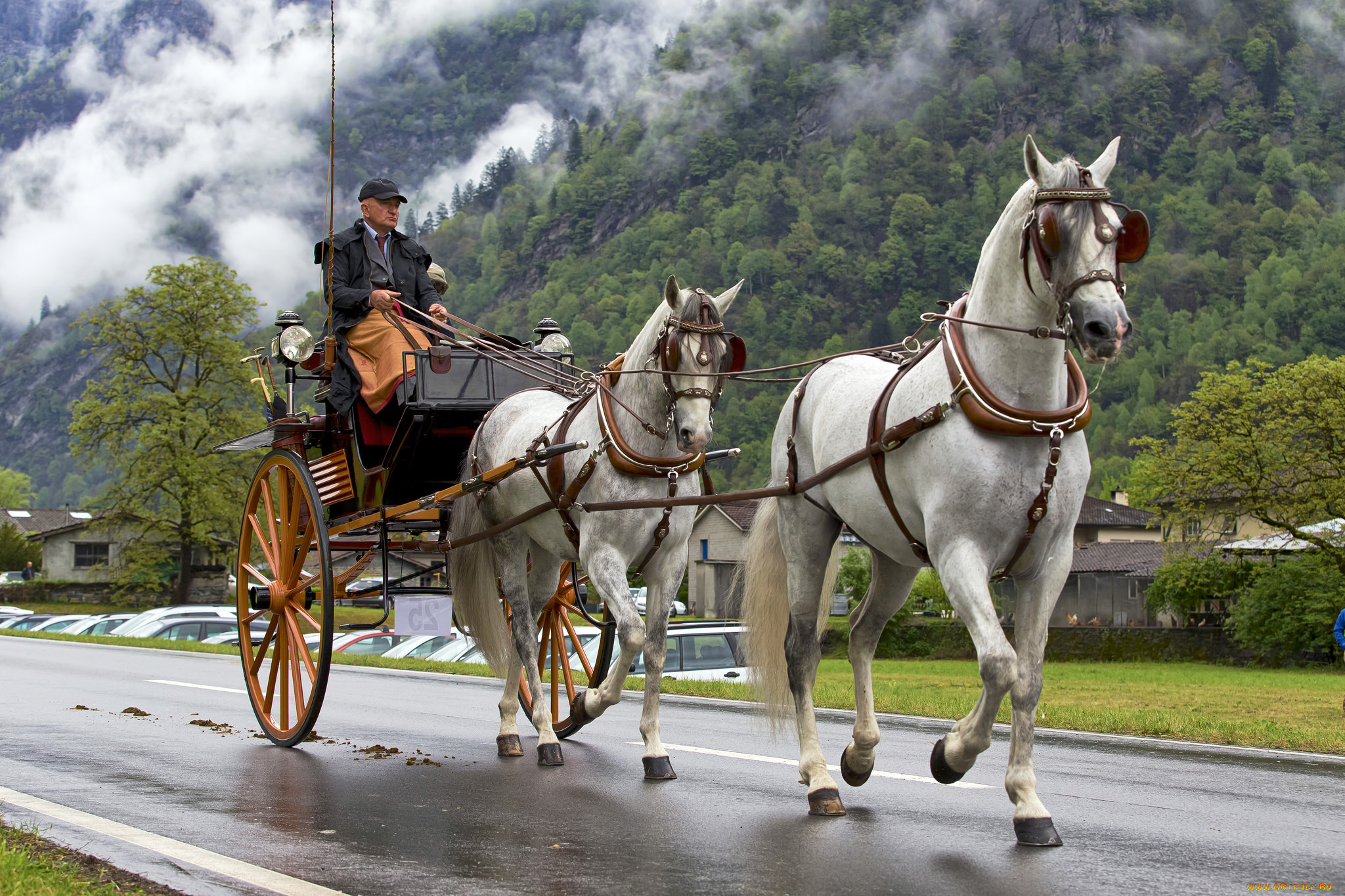 разное, транспортные, средства, и, магистрали, двуколка