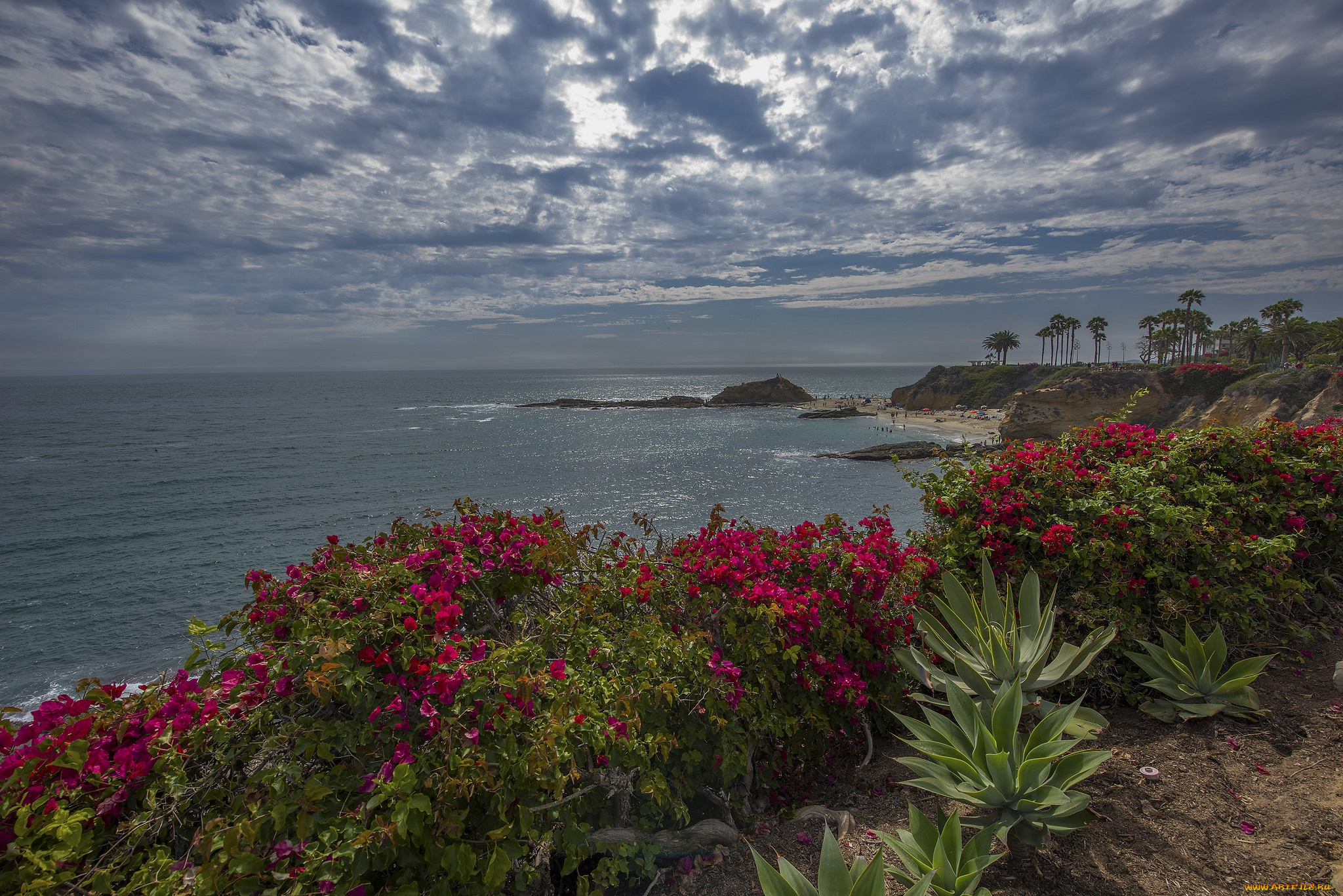 природа, побережье, берег, море