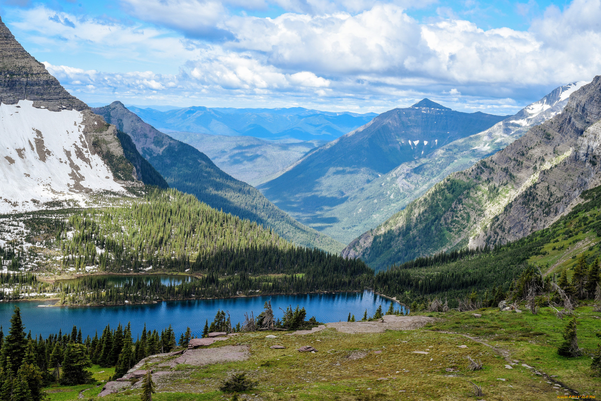 природа, реки, озера, река, лес