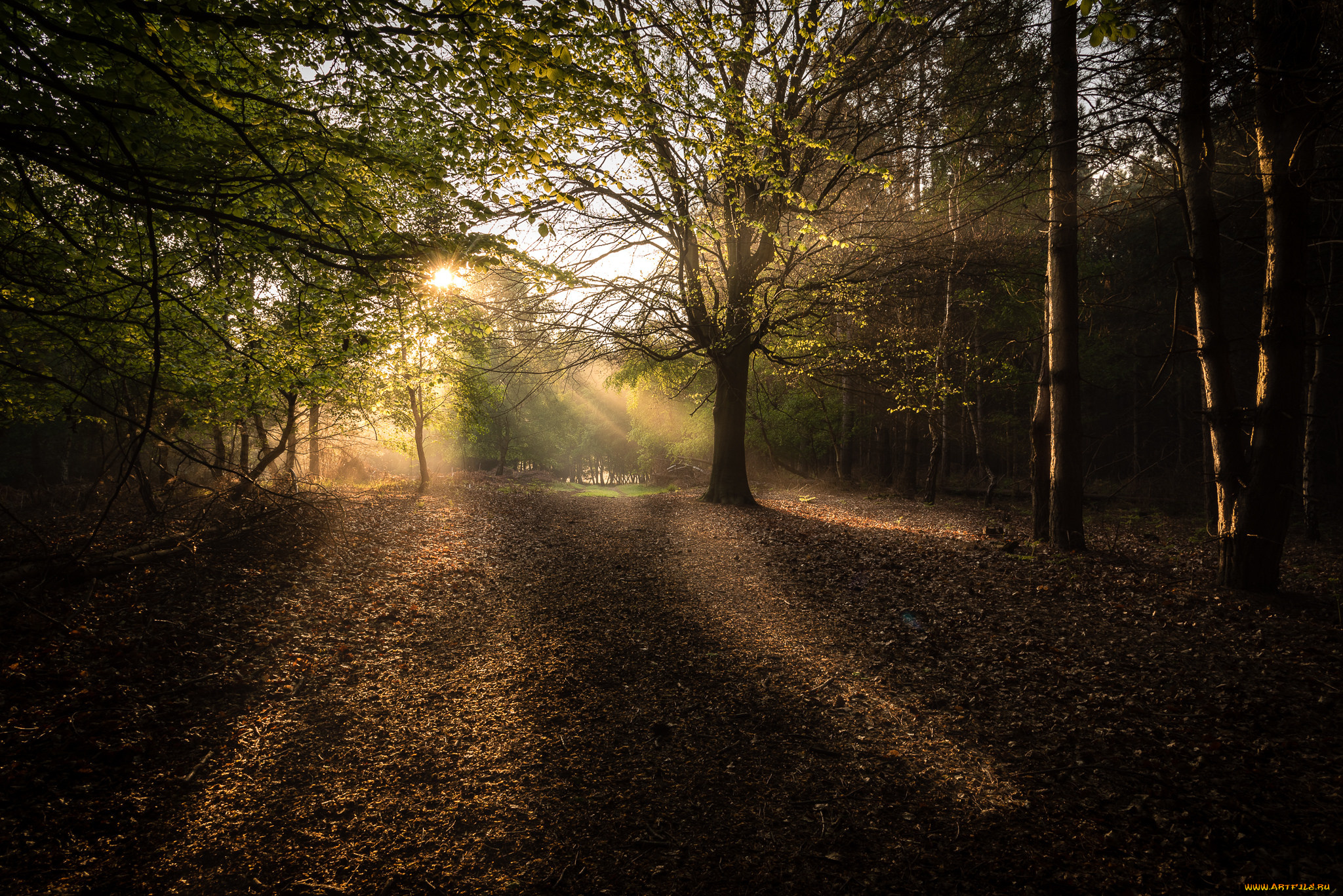 природа, восходы, закаты, рассвет