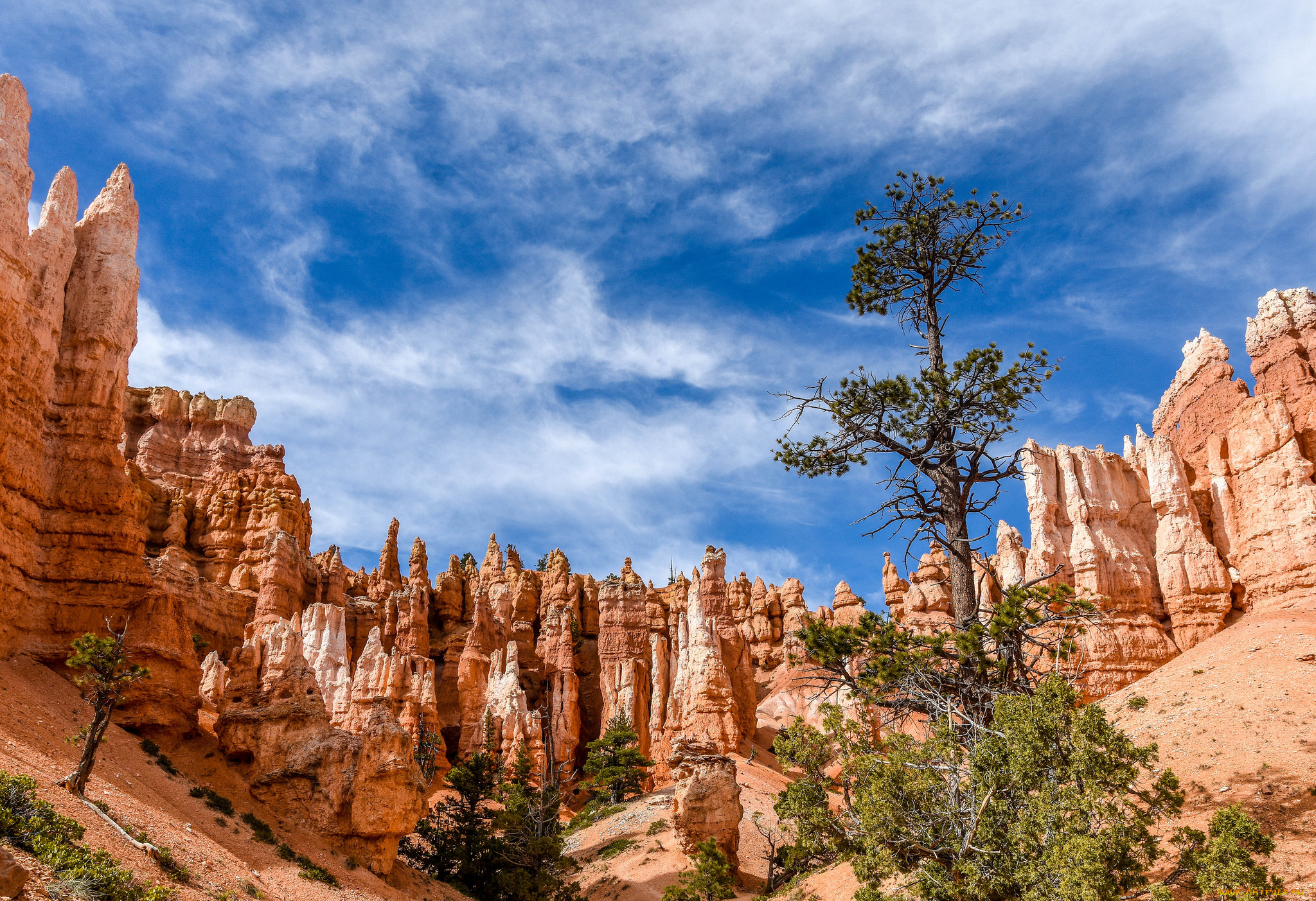 природа, горы, простор