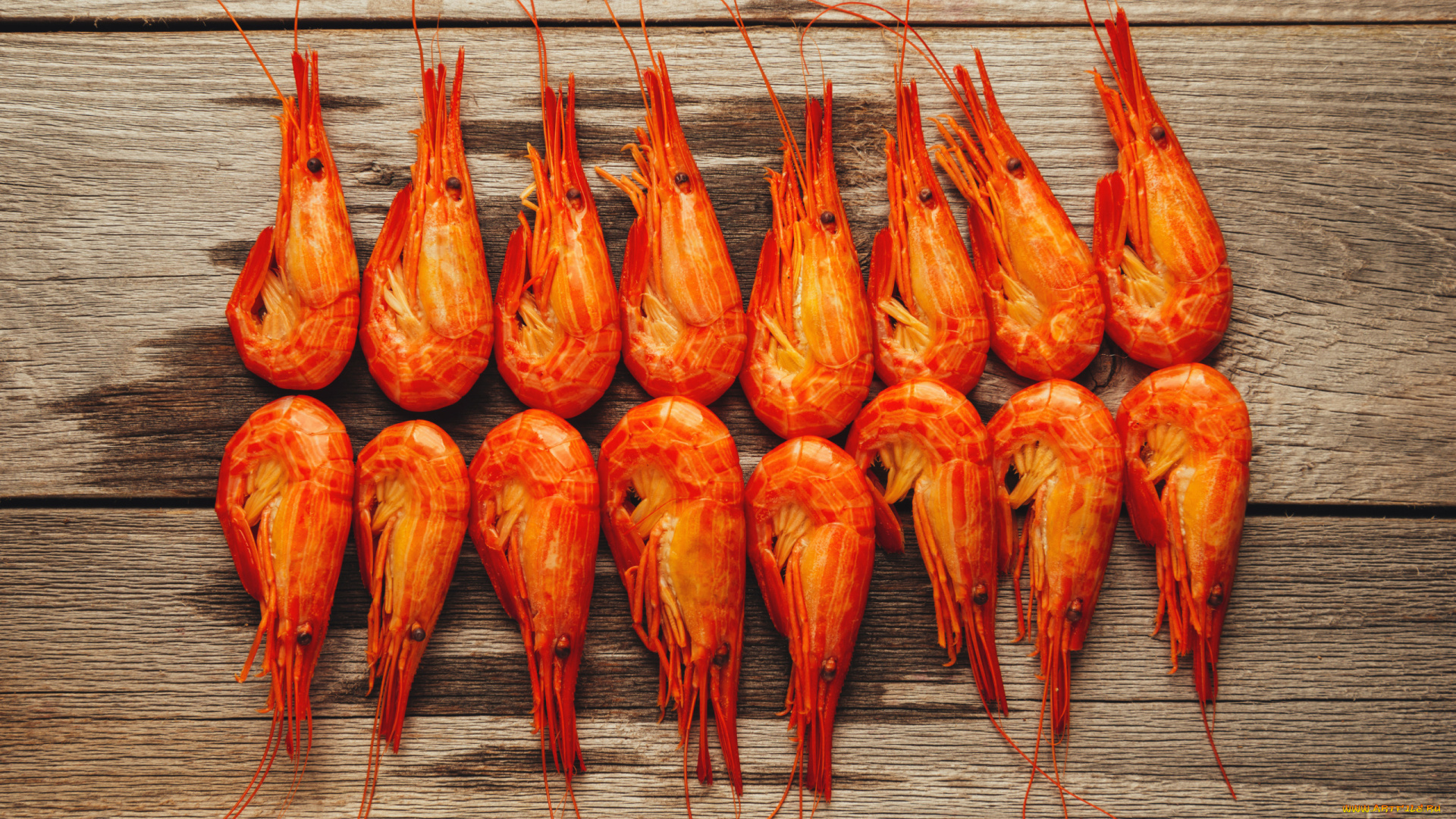 еда, рыба, , морепродукты, , суши, , роллы, креветки