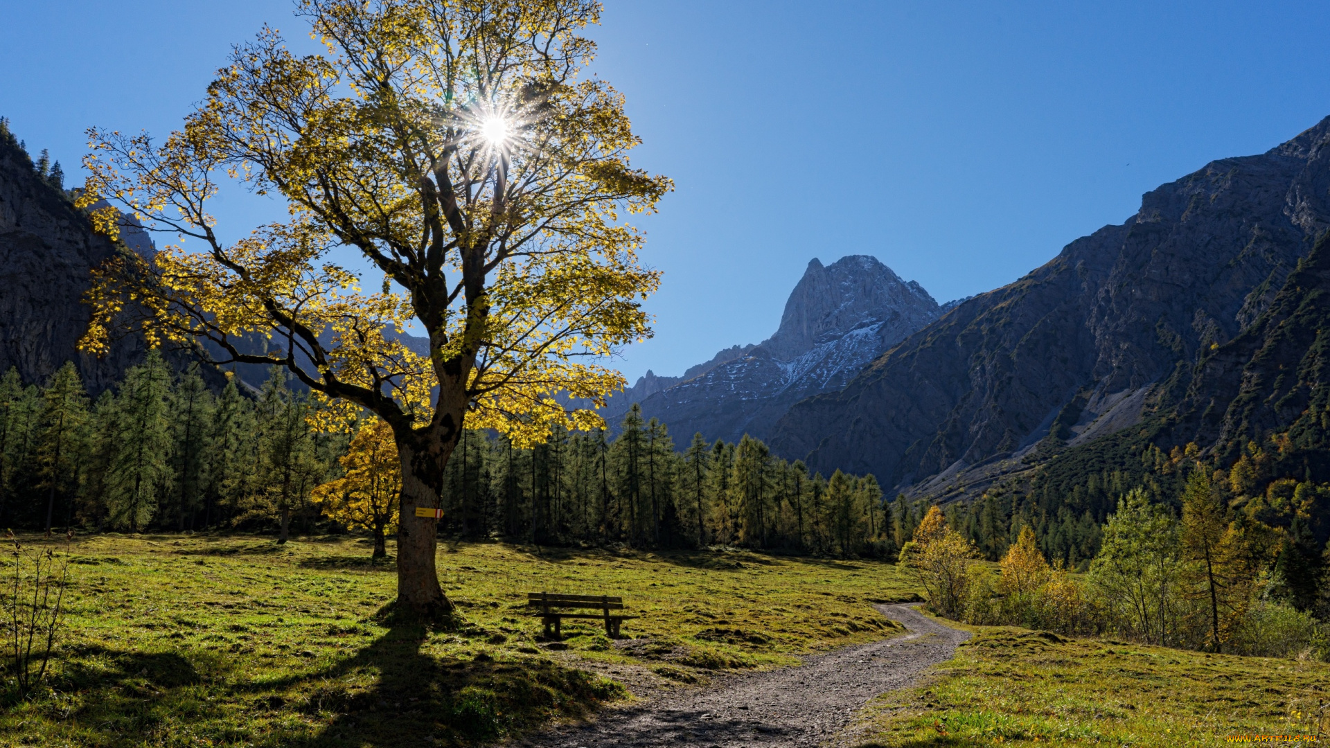 природа, дороги, горы, деревья, небо, солнце, тропа, скамейка