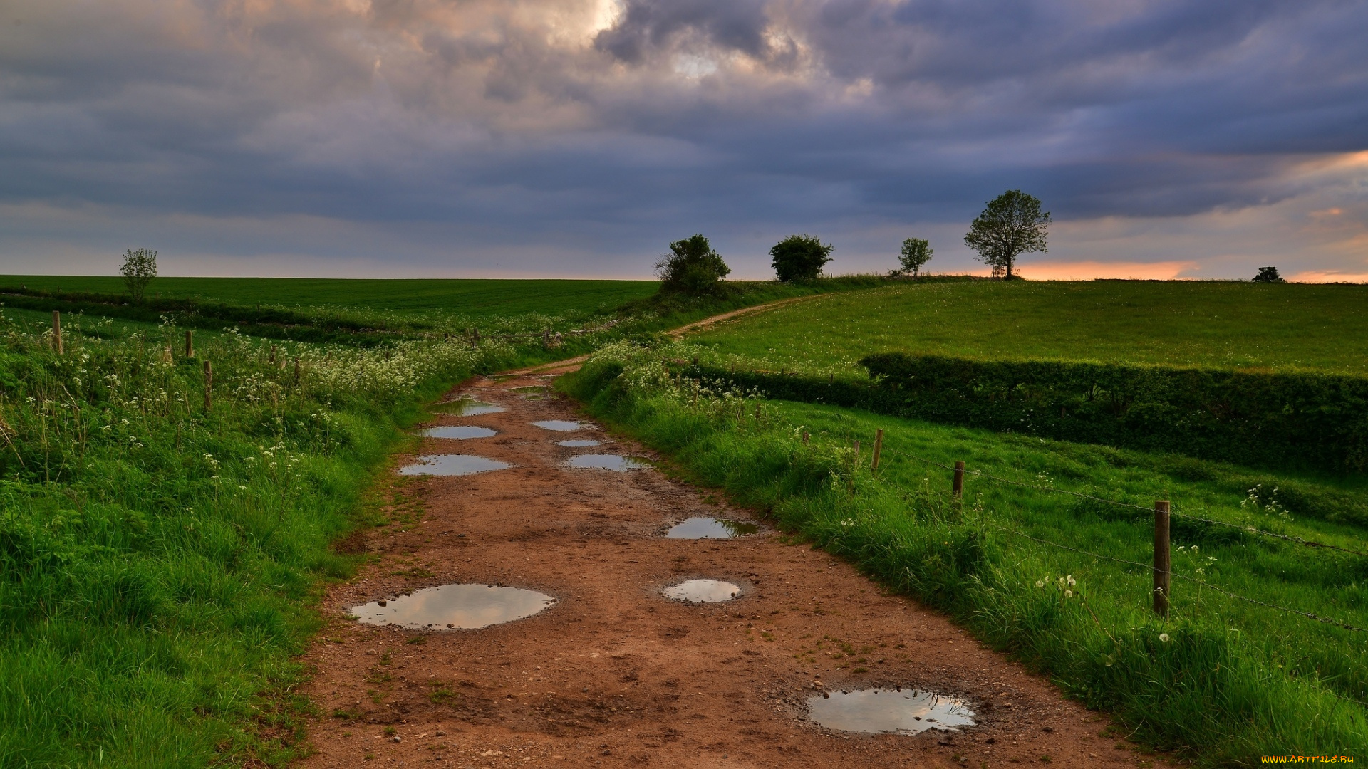 природа, дороги, лужи, дорога