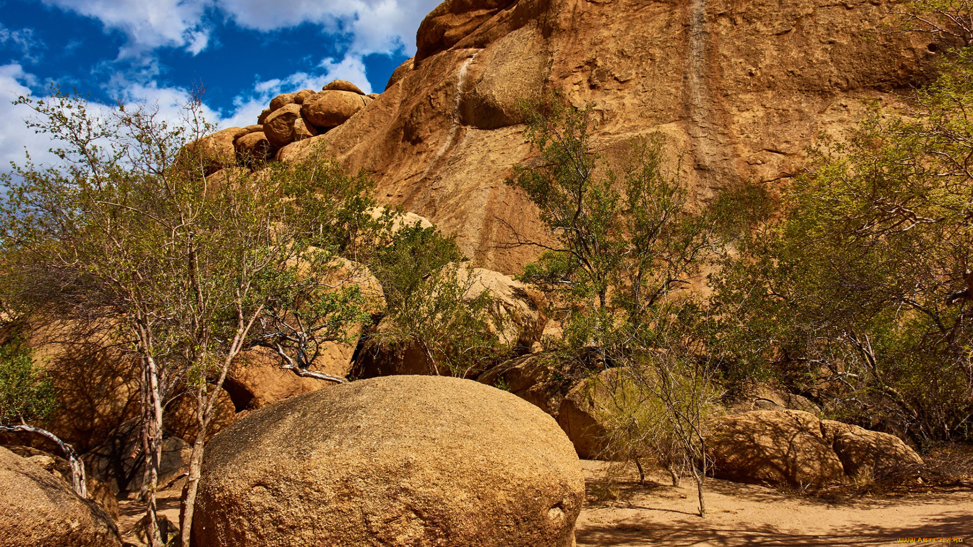 природа, горы, namibia, намибия, erongo, эронго, деревья, mountain, солнце, облака, скалы, небо, камни