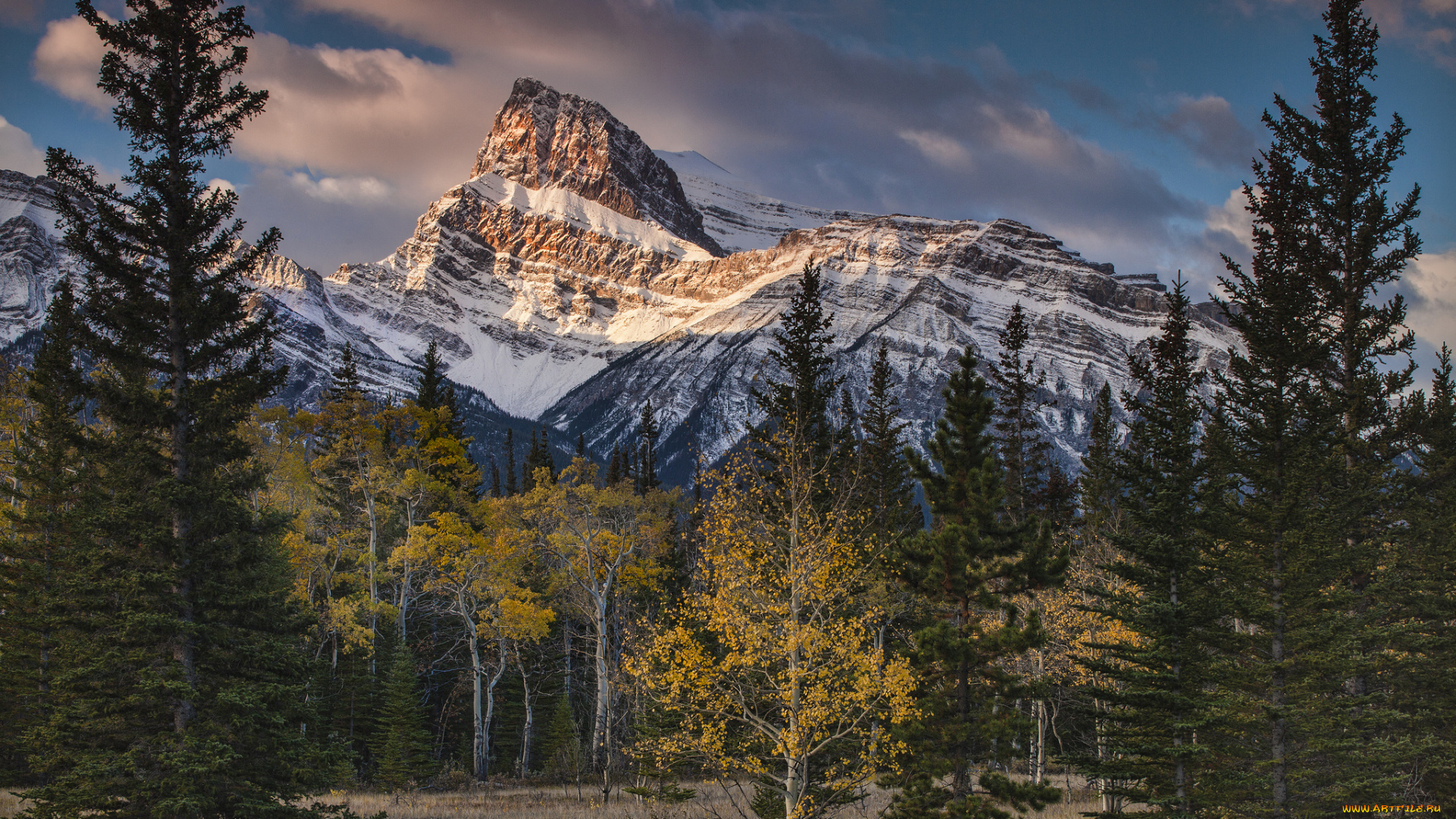 природа, горы, простор