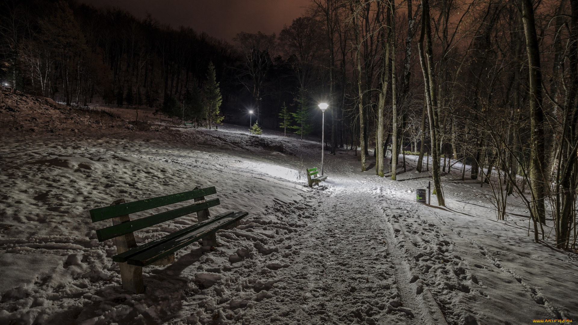 природа, парк, зима, ночь, скамья