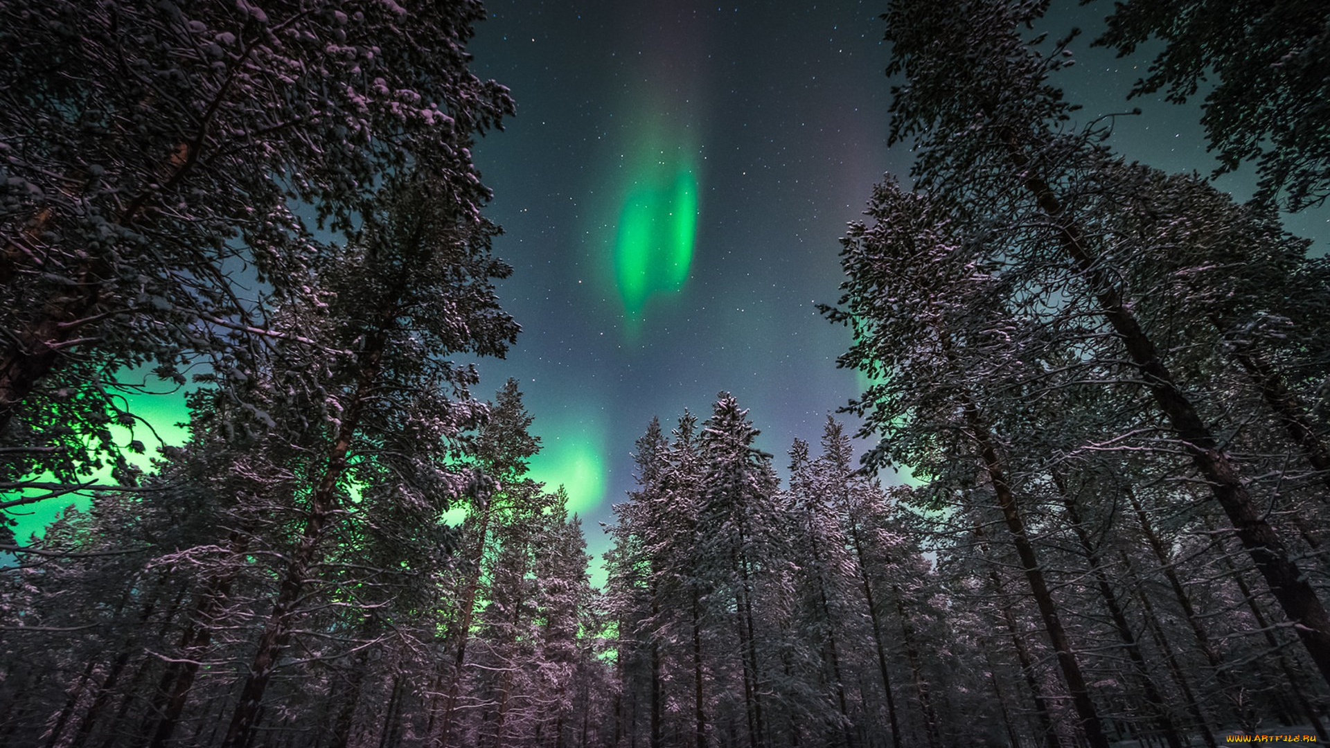 природа, северное, сияние, простор