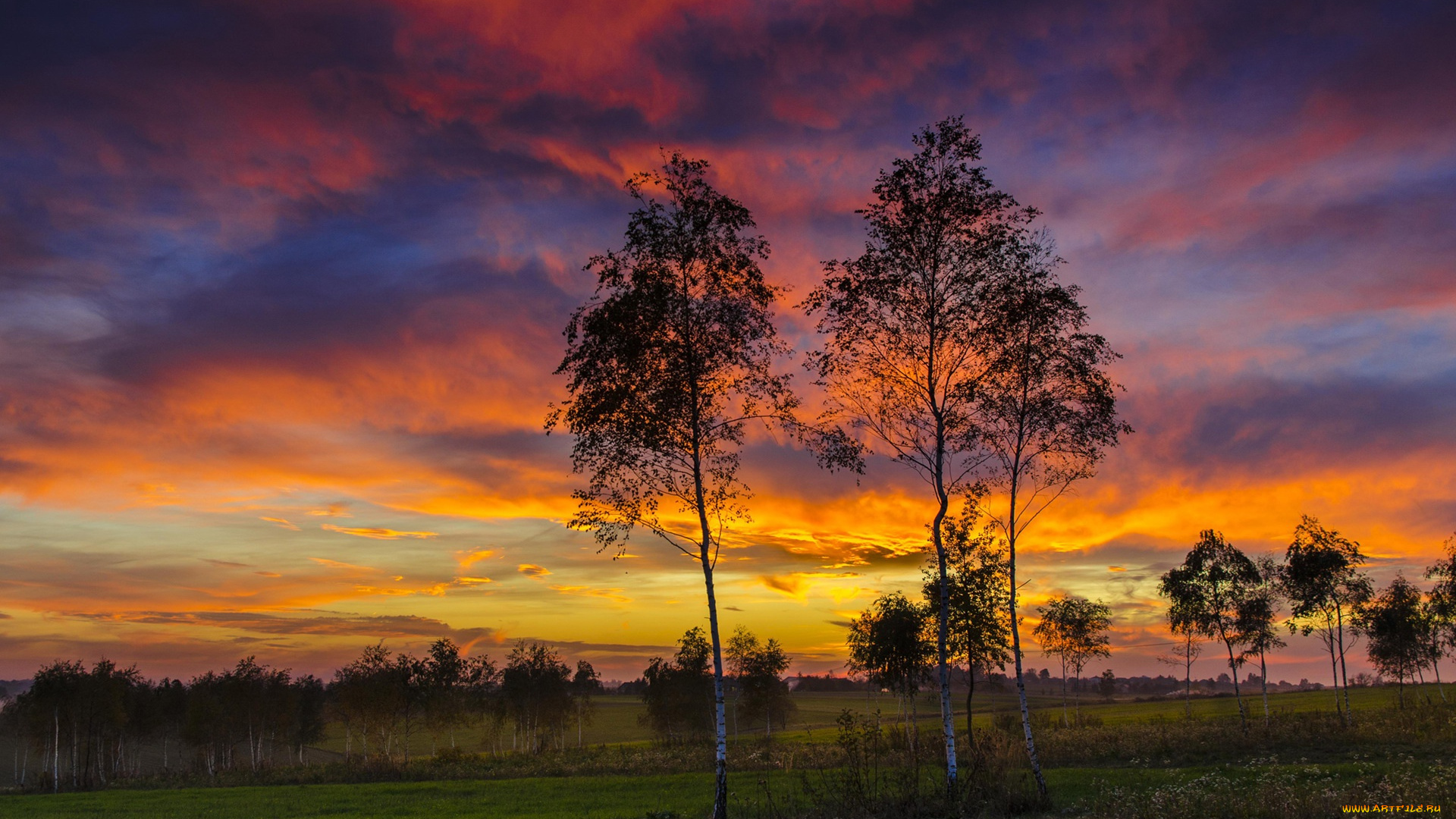 природа, восходы, закаты, закат, деревья
