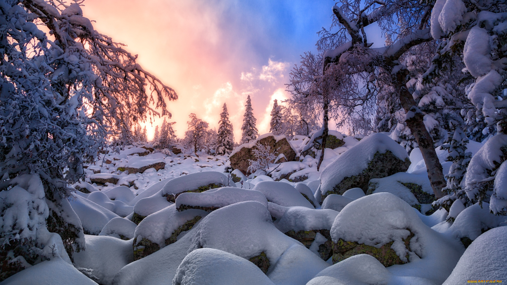 природа, зима, ель, снег, закат