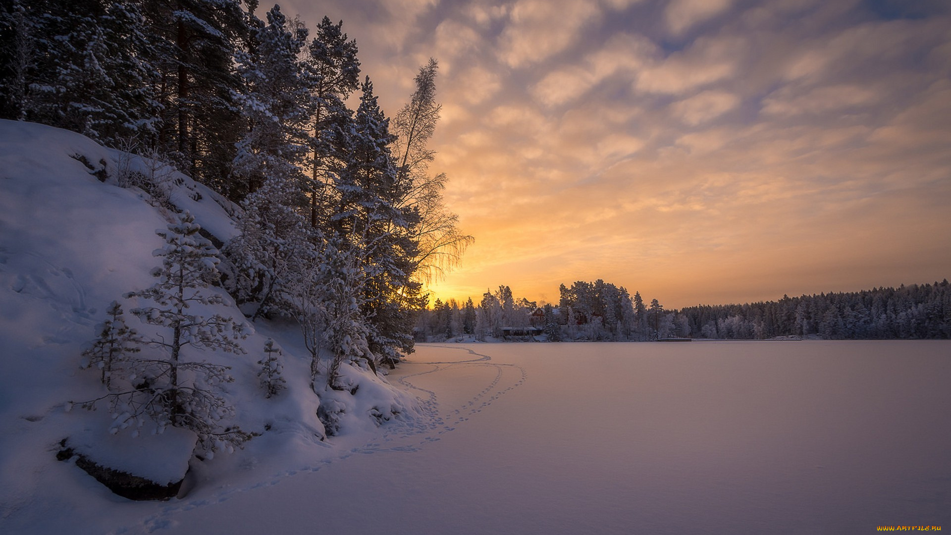 природа, зима, простор