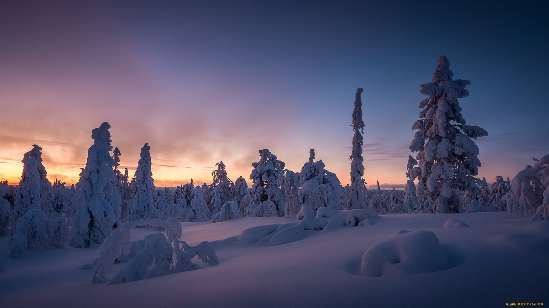 природа, зима, простор