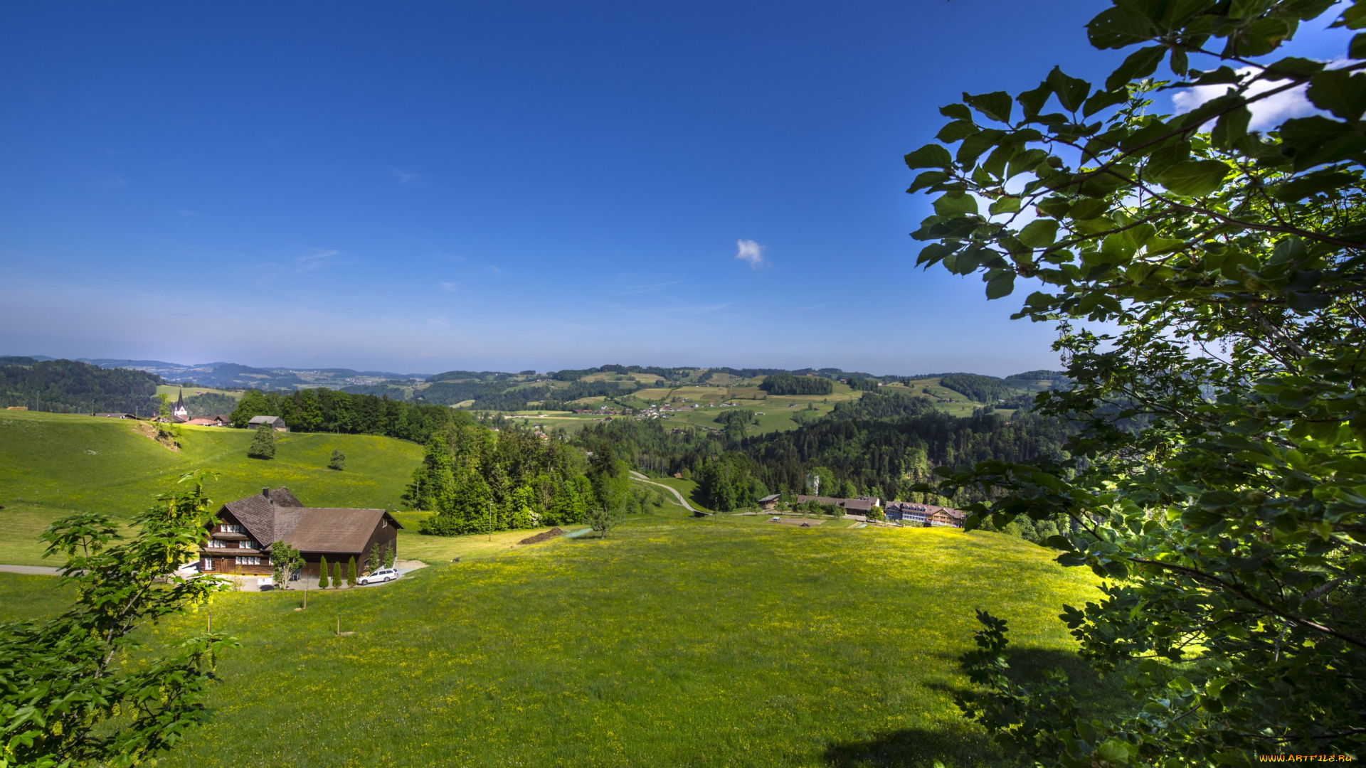switzerland, , st, gallen, hill, branches, города, -, пейзажи, дома, швейцария, луга, деревья, холмы