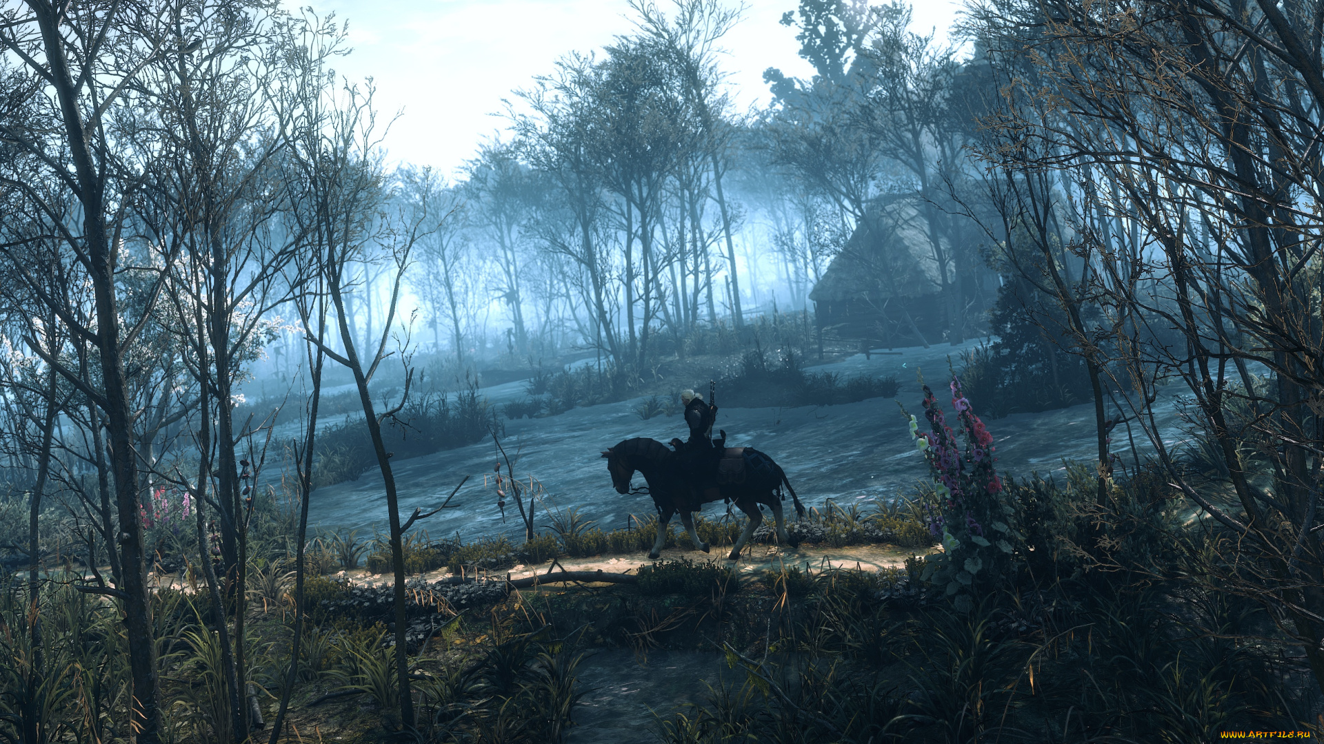 видео, игры, the, witcher, 3, , wild, hunt, лес, the, witcher, 3, wild, hunt, плотва, лошадь, геральт, ведьмак, деревья, дом