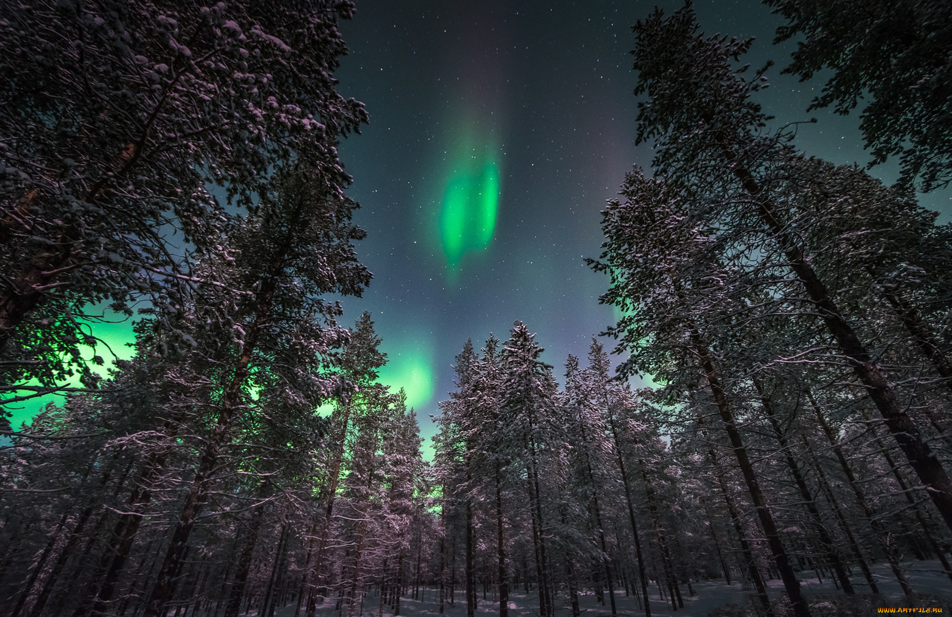 природа, северное, сияние, простор