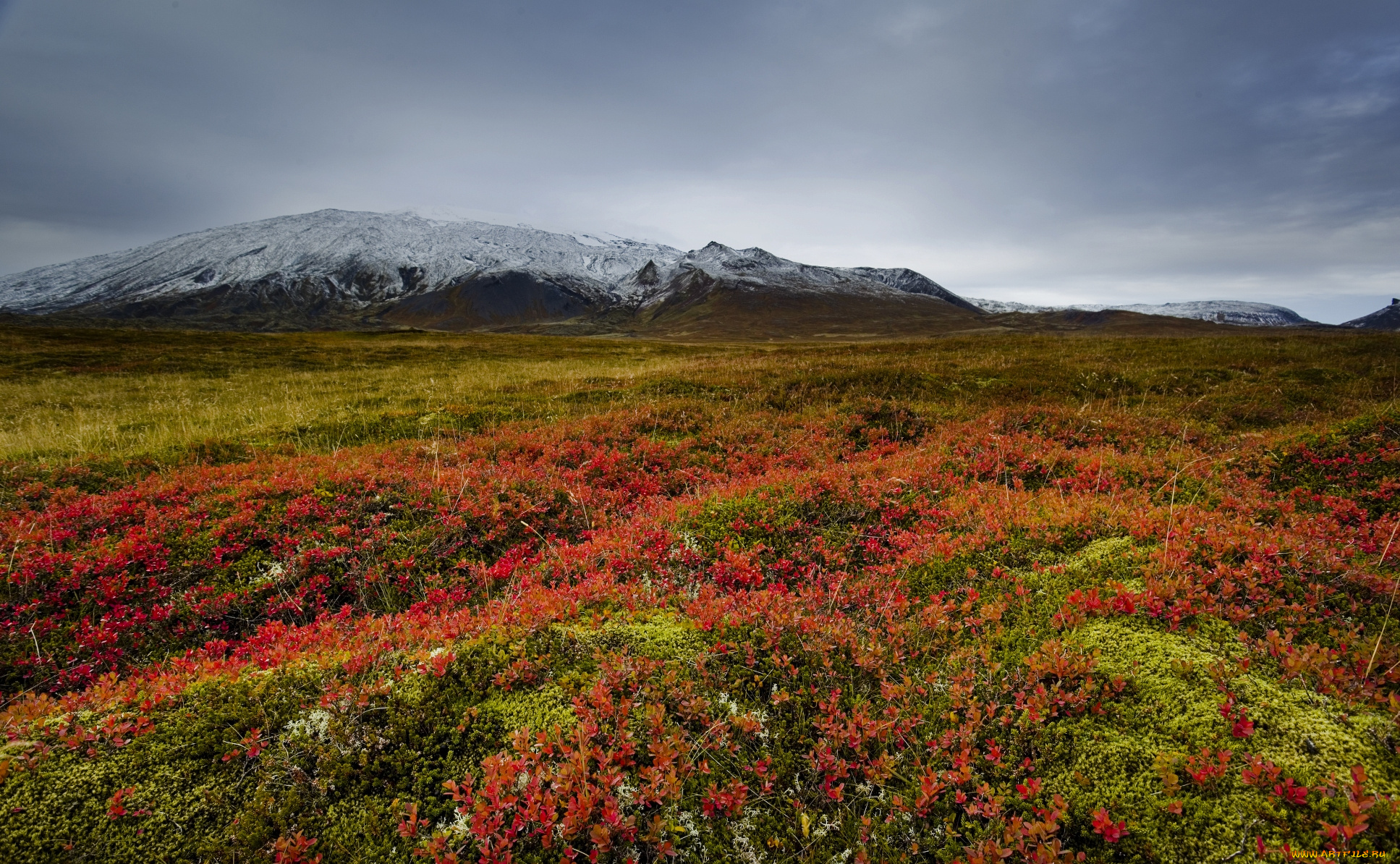 природа, луга, тучи, цветы, горы