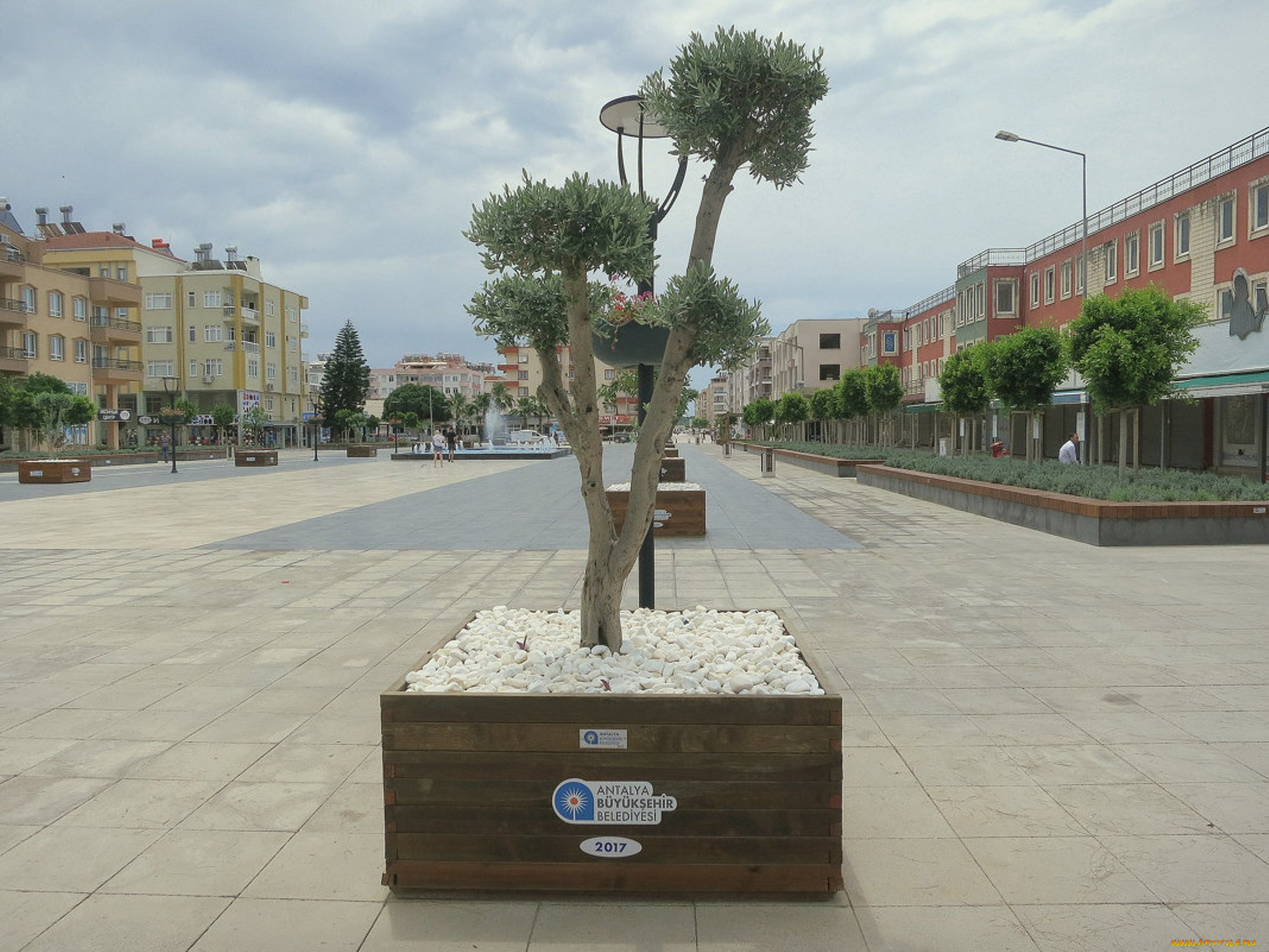 города, -, улицы, , площади, , набережные, деревья, улица, город