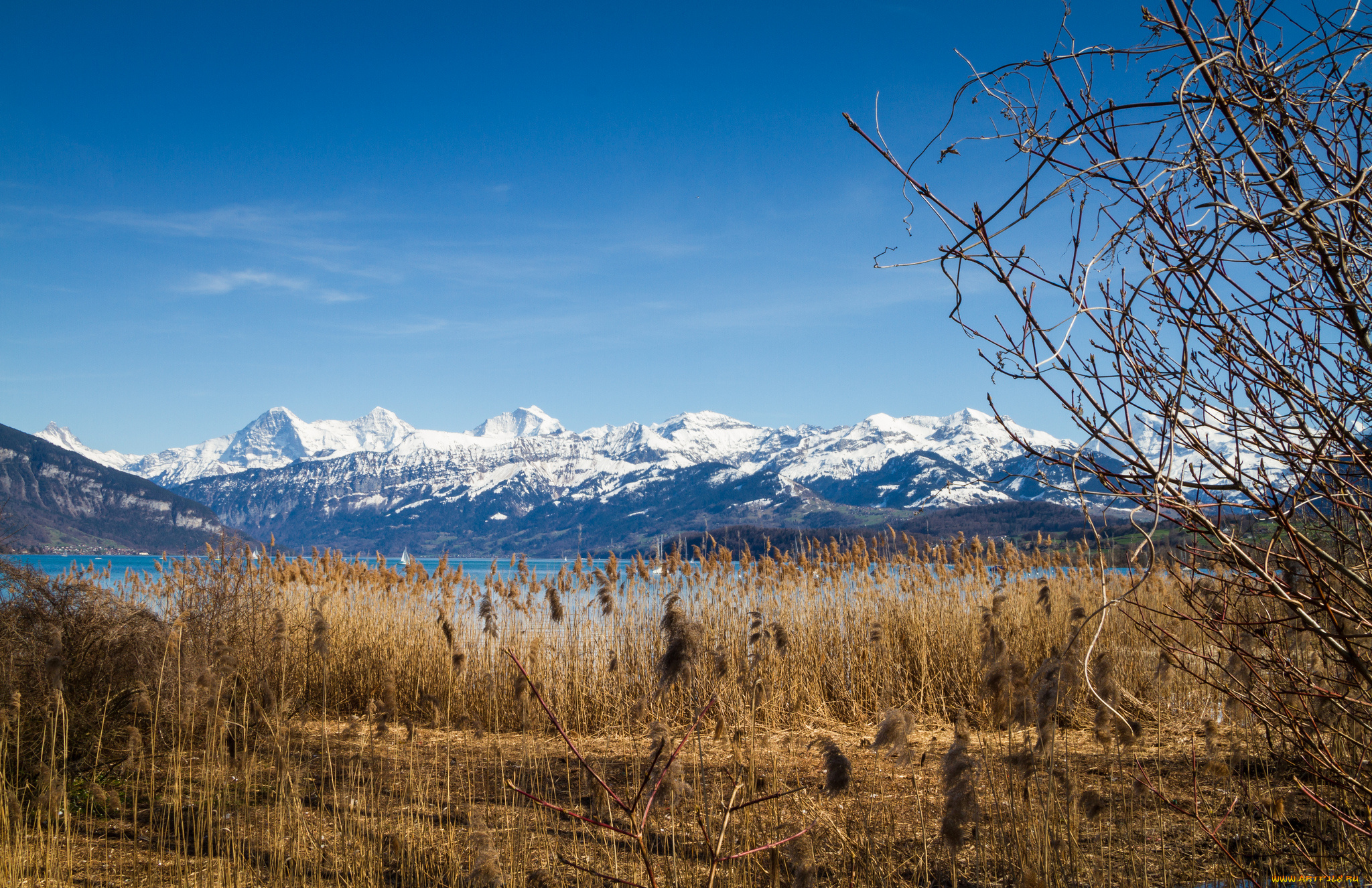 природа, пейзажи, простор