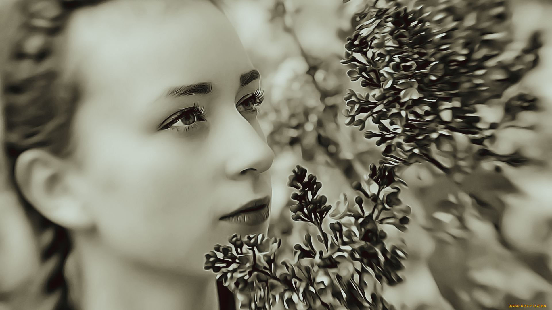 календари, компьютерный, дизайн, calendar, растение, лицо, девушка